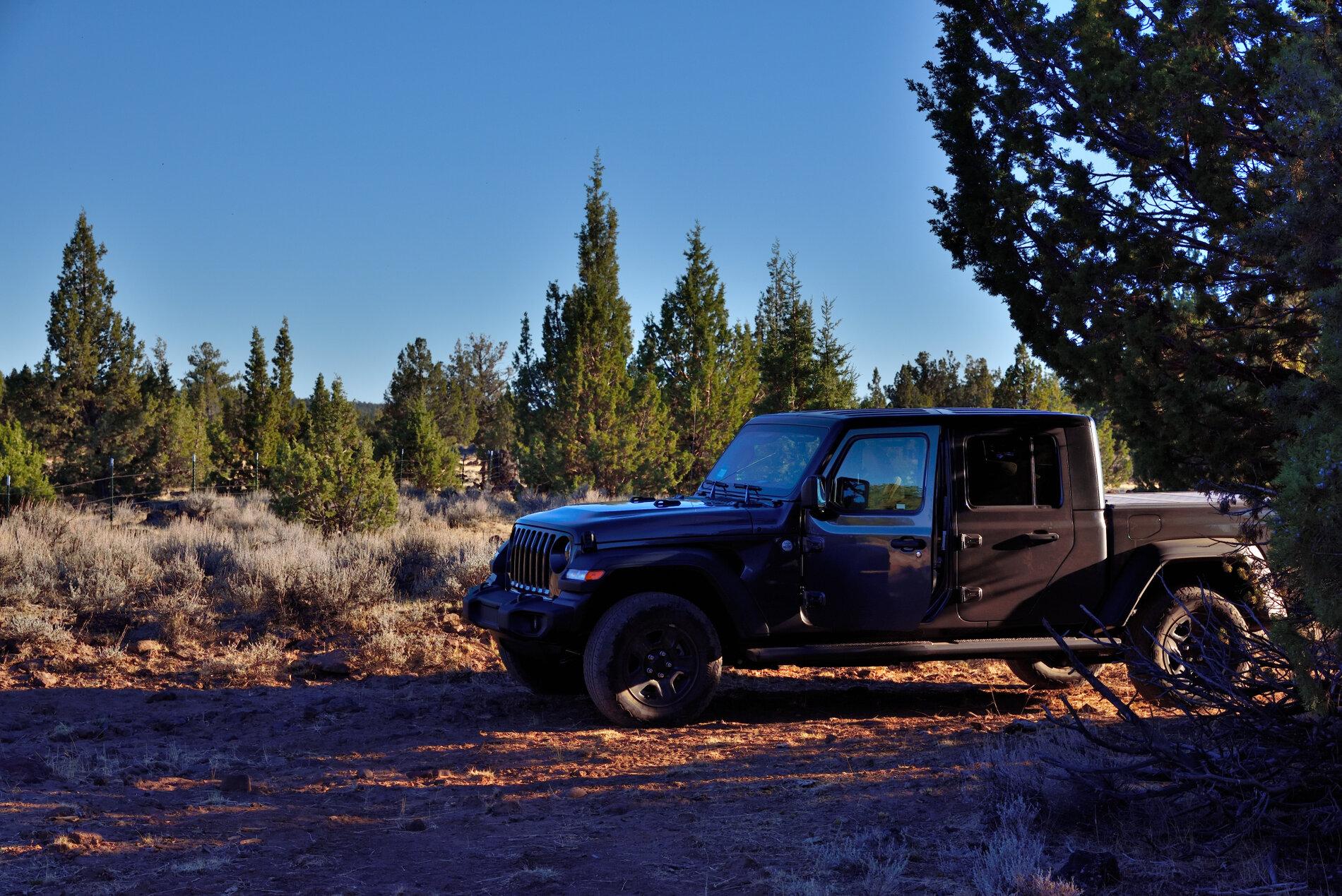 Jeep Gladiator What did you do WITH your Gladiator today? _DSC5657.JPG