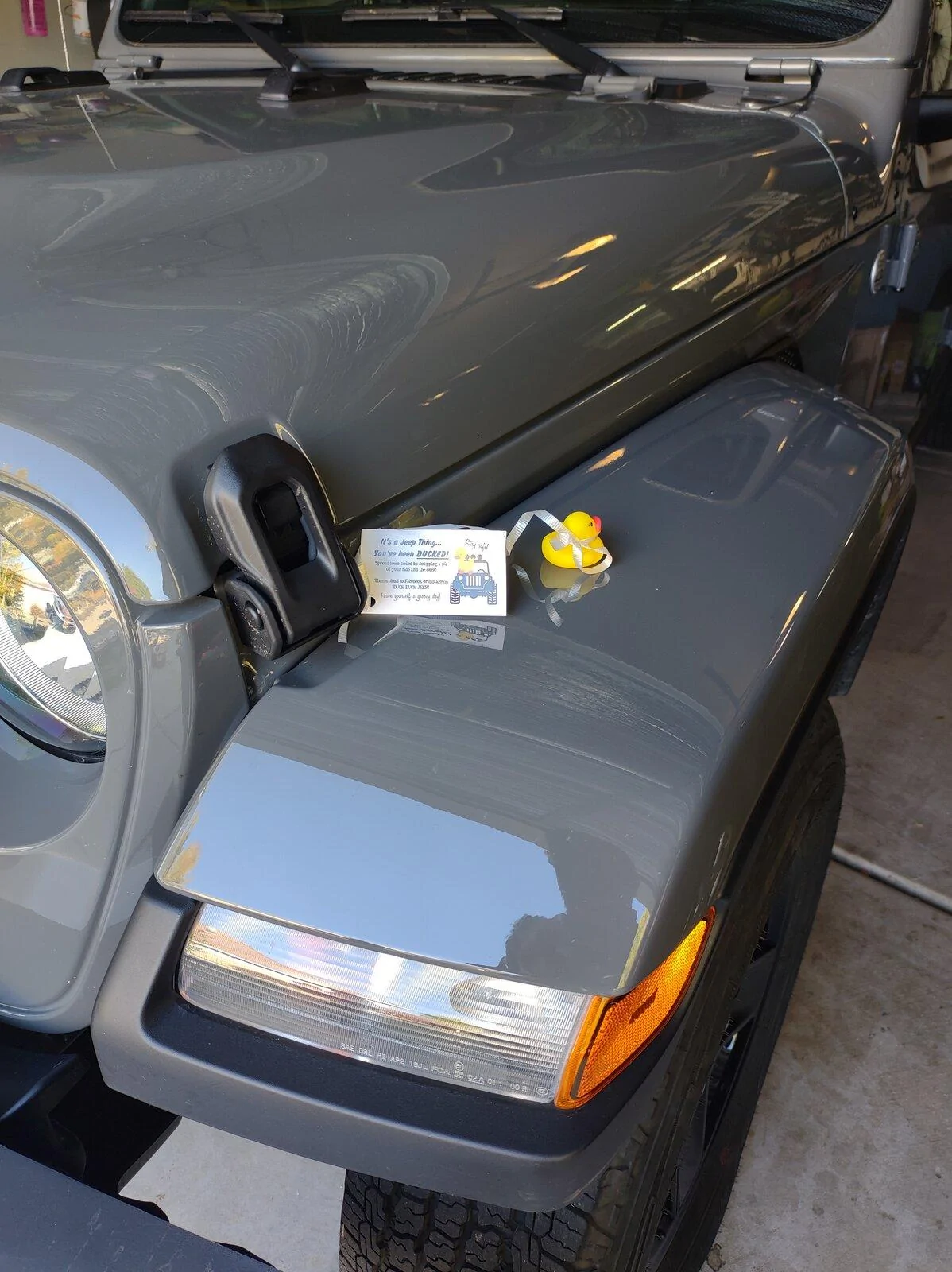 Jeep Gladiator Get a duck yet? IMG_20211002_093349591