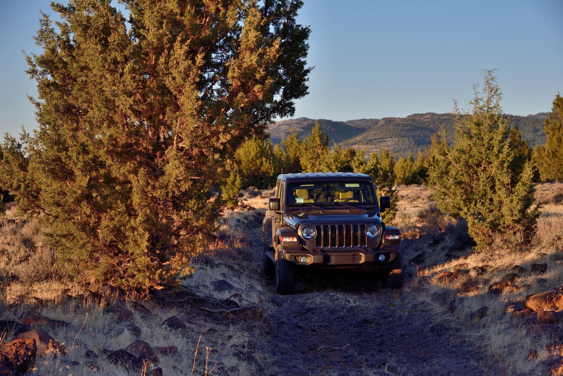 Jeep Gladiator Do you even wheel ? _DSC5659.JPG