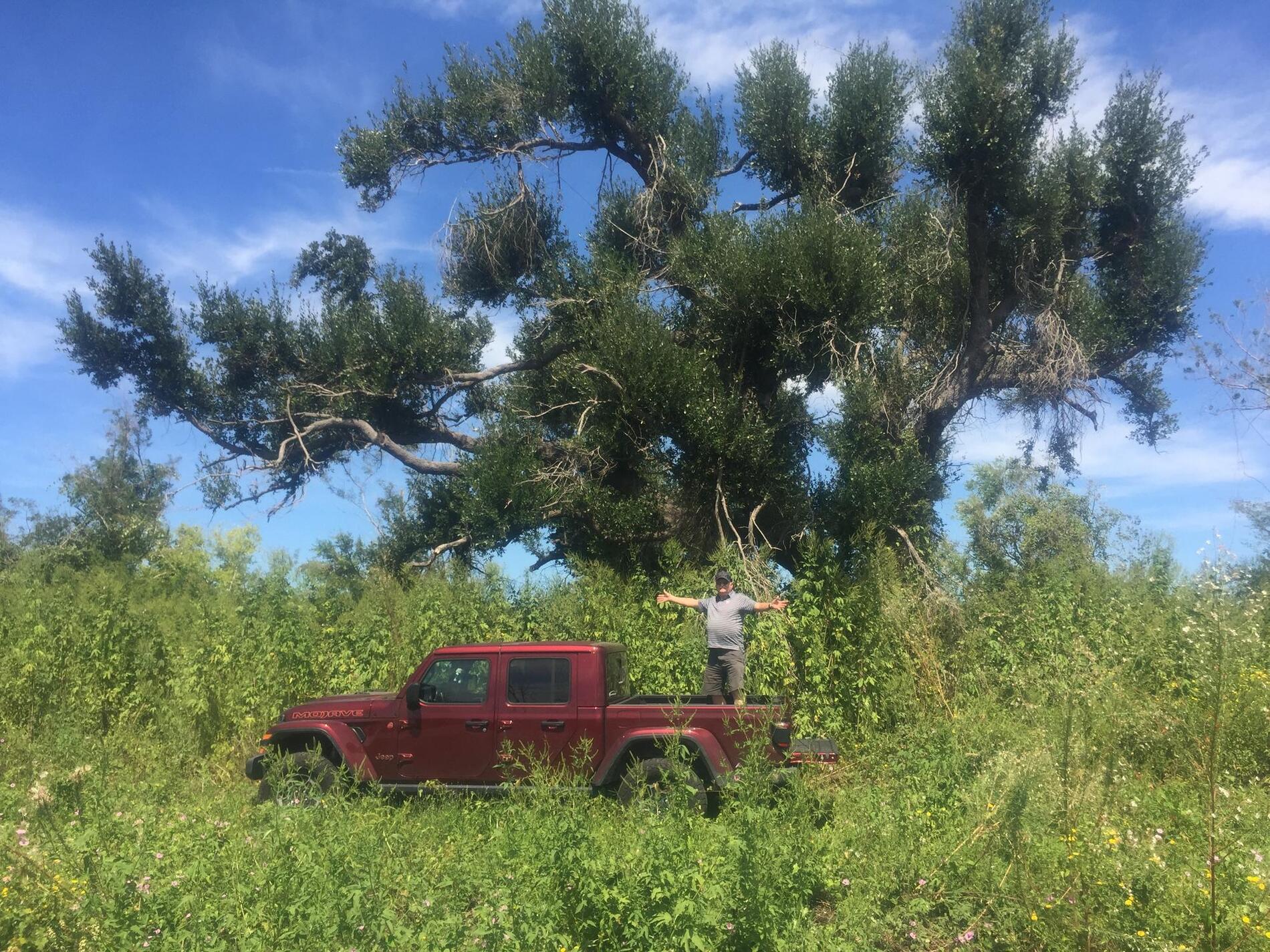 Jeep Gladiator New Member: 2021 Jeep Mojave, Louisiana Forestry Conservation Support 1764421-albums-random-photos-pic160086-jeep-mojave