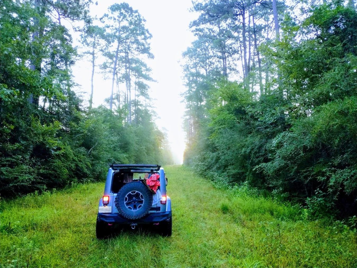Jeep Gladiator New Member: 2021 Jeep Mojave, Louisiana Forestry Conservation Support ndom-photos-pic151159-img-20180811-064410-effects2