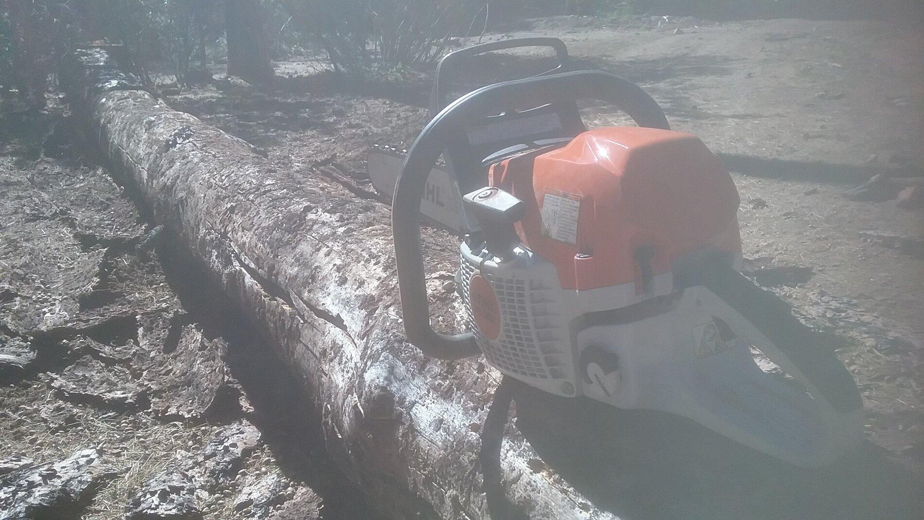 Jeep Gladiator Electric Chainsaw - Amazon Sale - 10/6/21 20191011_143226