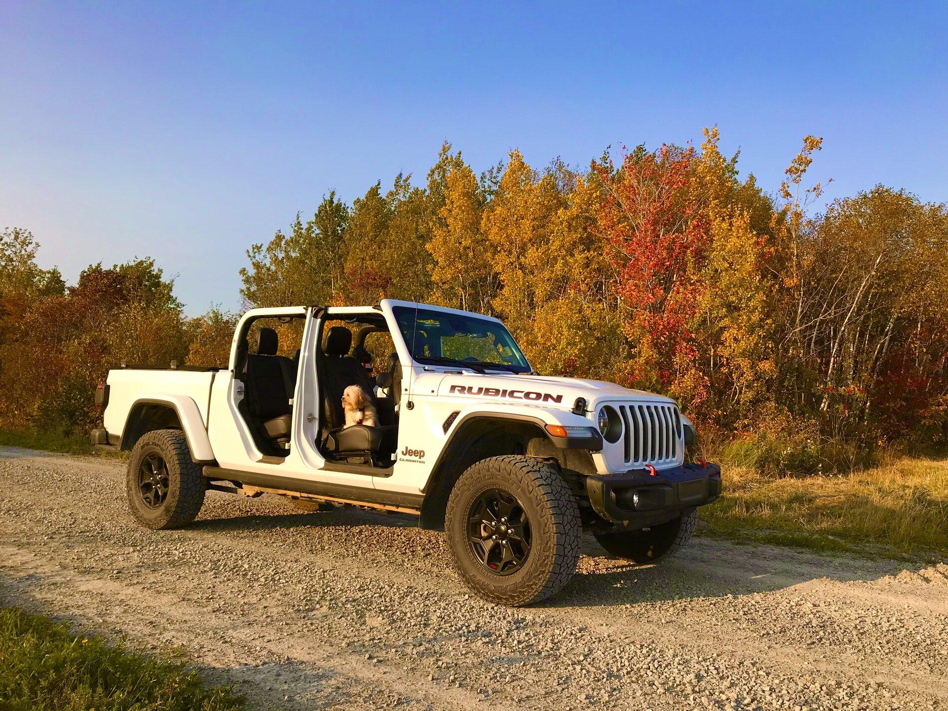 Jeep Gladiator -- 2020+ Gladiator Picture Game -- 09CF5094-99B9-404B-9694-D20867973FE7