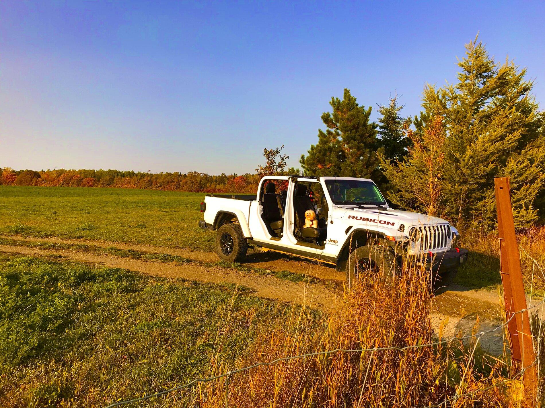 Jeep Gladiator -- 2020+ Gladiator Picture Game -- CF13E7BC-20FE-4FD4-8C20-5BDEE711B6BB
