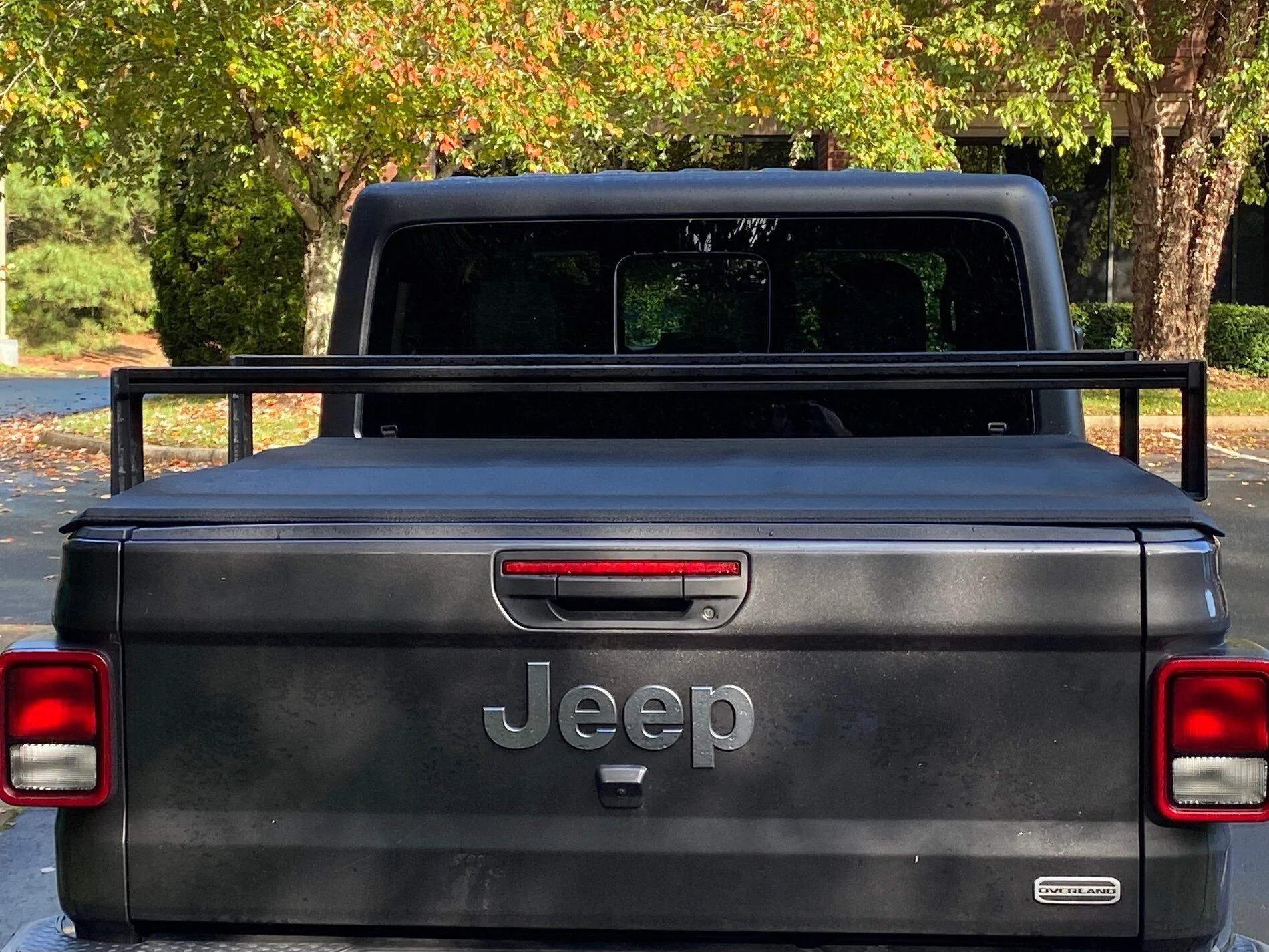 Jeep Gladiator 8" BillieBars and Mopar Tonneau IMG_6758