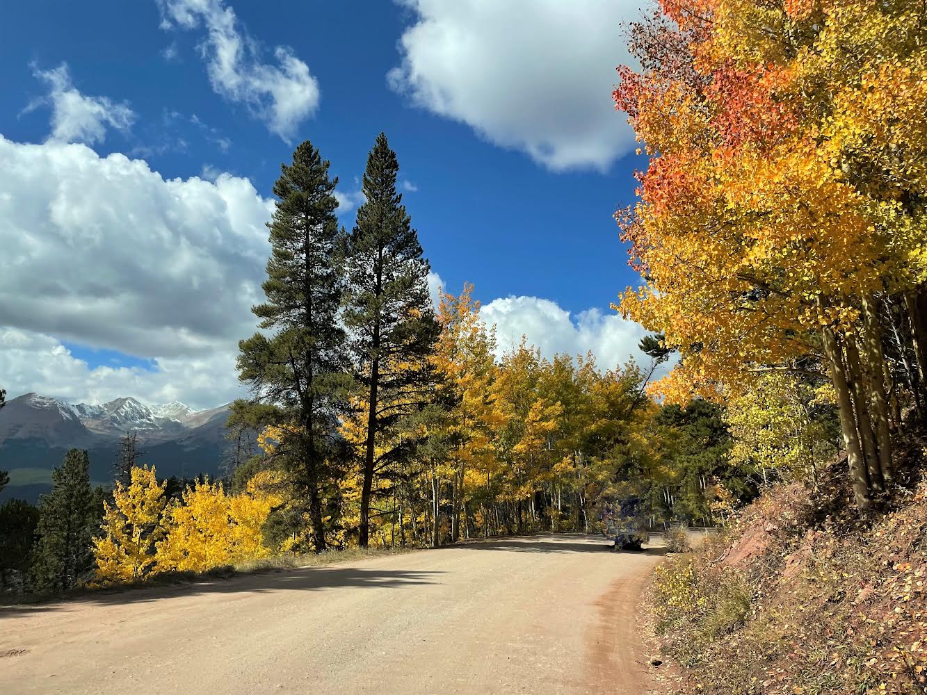 Jeep Gladiator Let's see those Fall Colors. 110A7D3D-9B46-4920-9BB7-4044957F3FC1