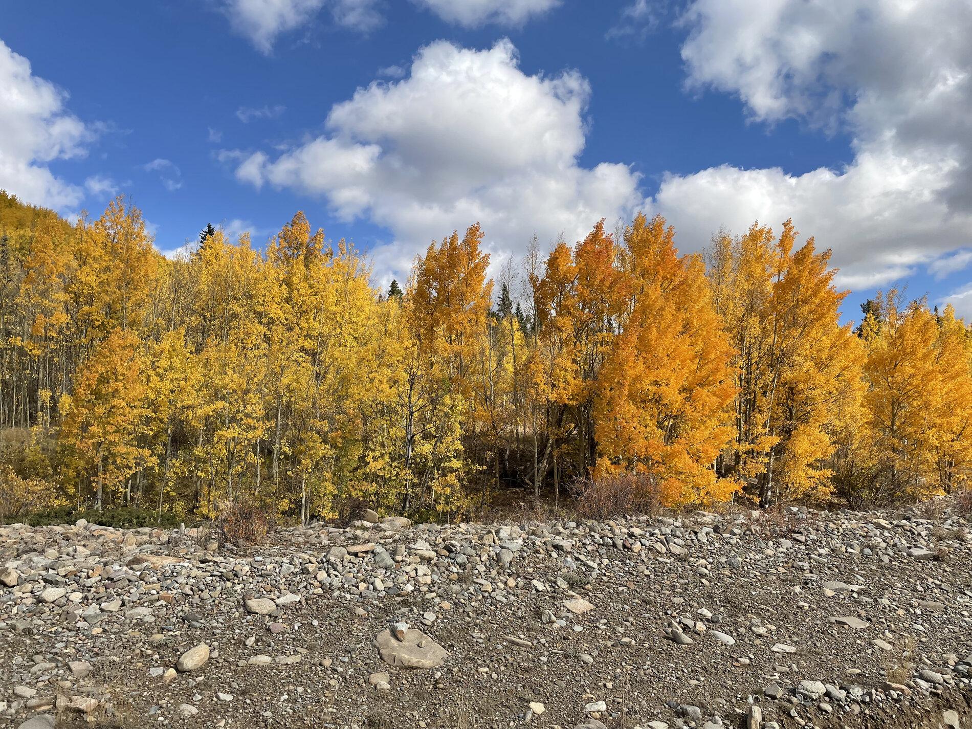Jeep Gladiator Let's see those Fall Colors. 86696136-A01E-4C79-91AA-EDB7B148D2B0