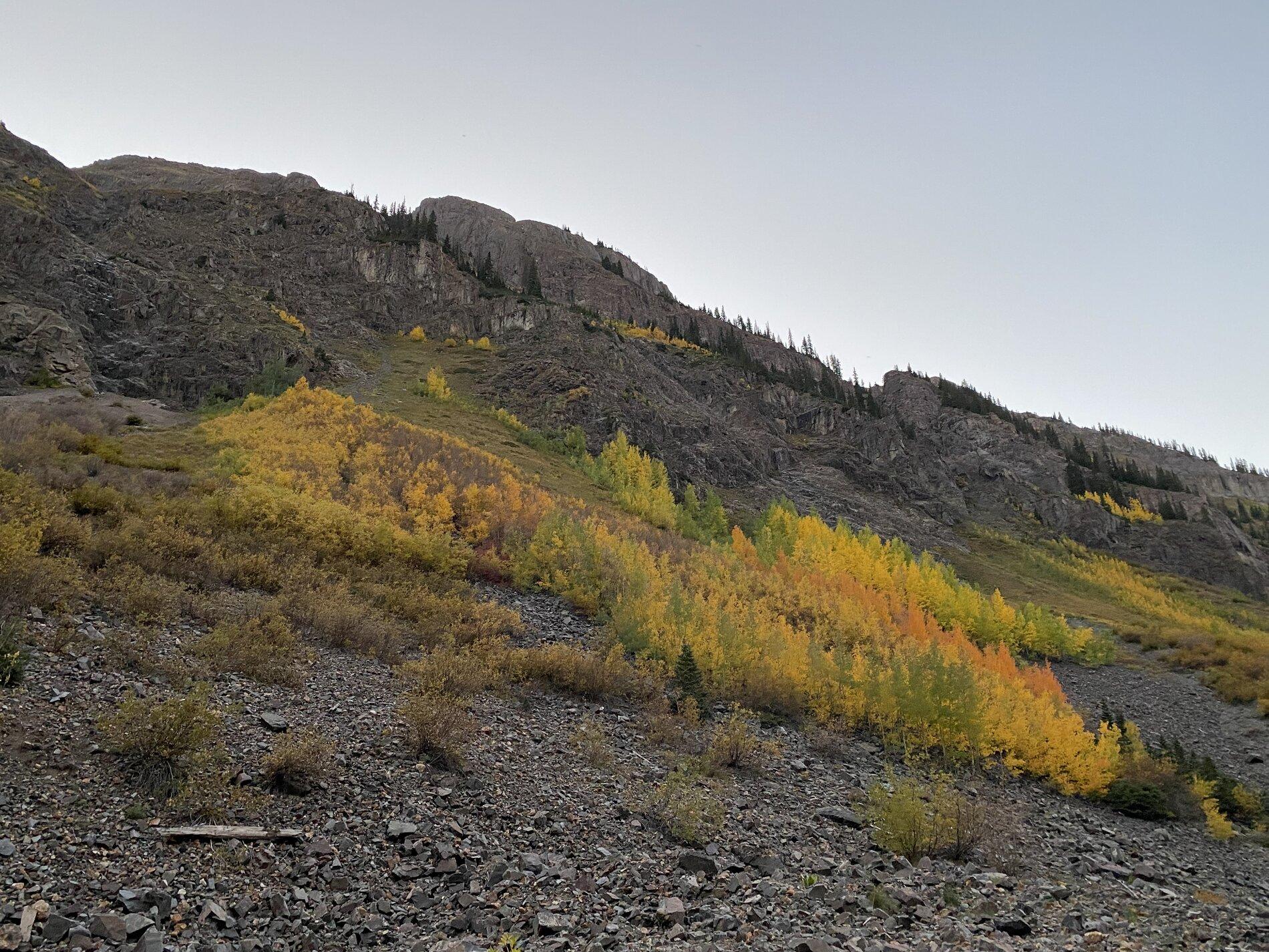 Jeep Gladiator Let's see those Fall Colors. 36A76C96-558A-4B7E-8C67-F17577BB3825