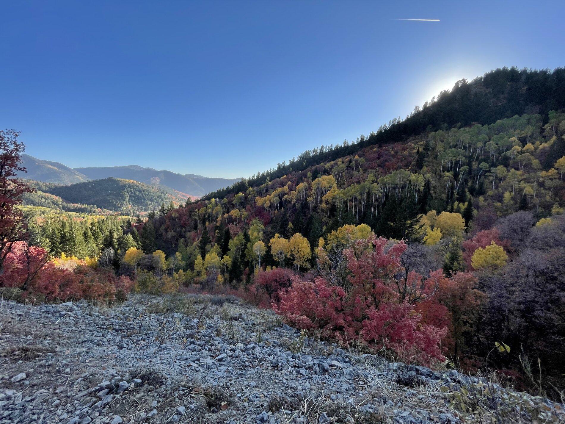 Jeep Gladiator Let's see those Fall Colors. 2B3F6453-4576-4CCC-9BCD-7EB3276428FA