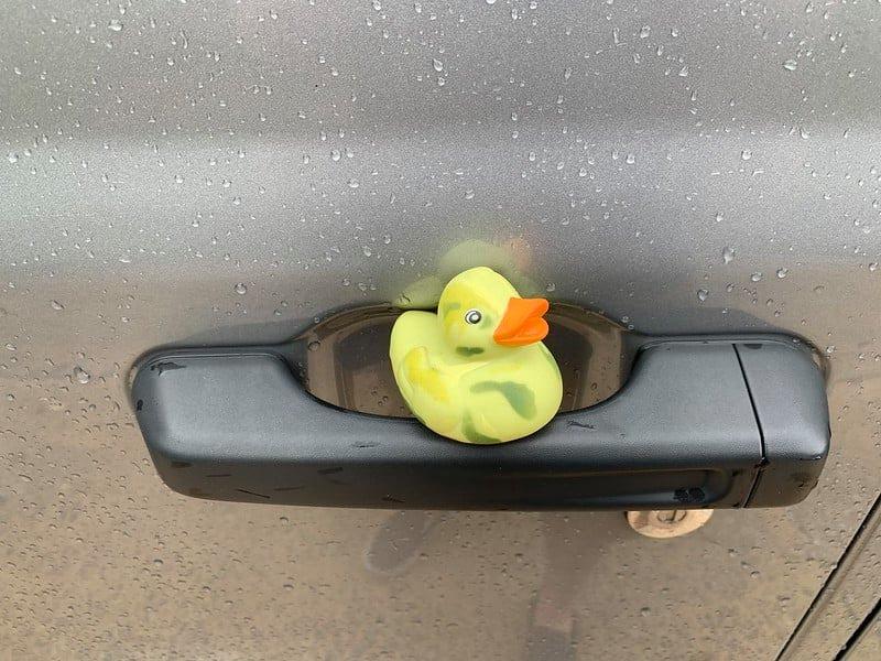 Jeep Gladiator Get a duck yet? 236372108_10165862500255495_8366723778646283080_n