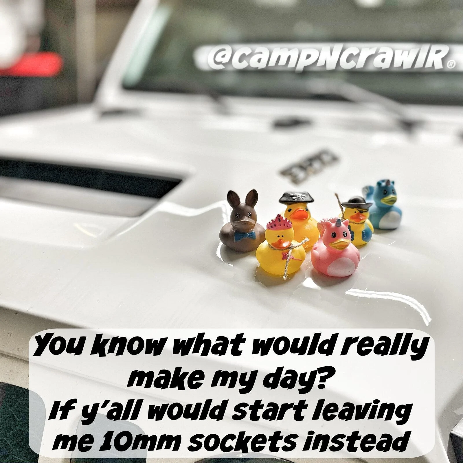 Jeep Gladiator Get a duck yet? IMG_3646