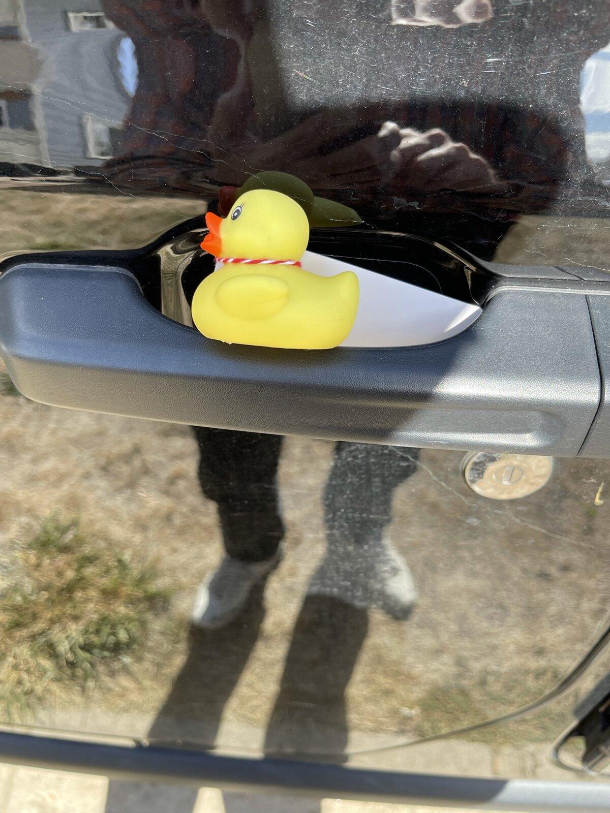 Jeep Gladiator Get a duck yet? IMG_1467