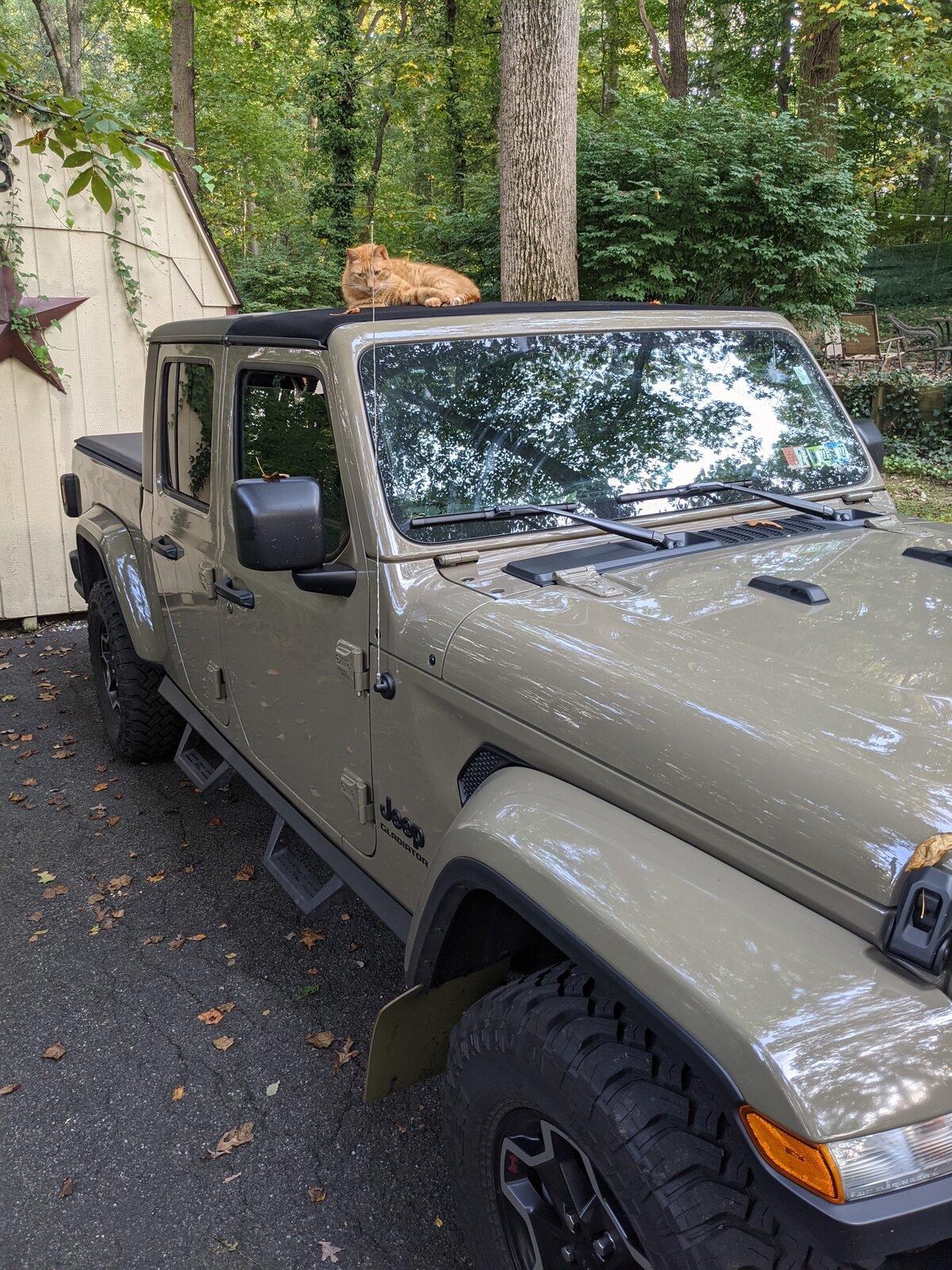 Jeep Gladiator O PXL_20211015_195646054