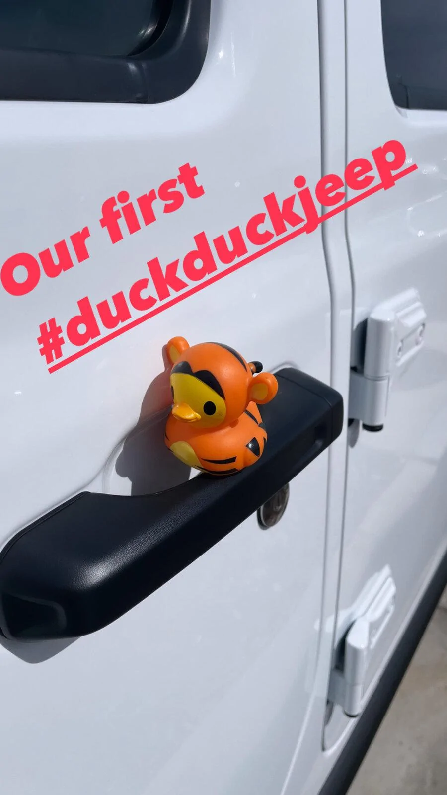 Jeep Gladiator Get a duck yet? DC4B8028-73F3-4FA5-B7C6-6C930B3E5F84