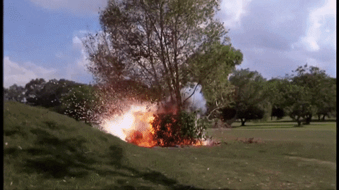 1634839052371.gif