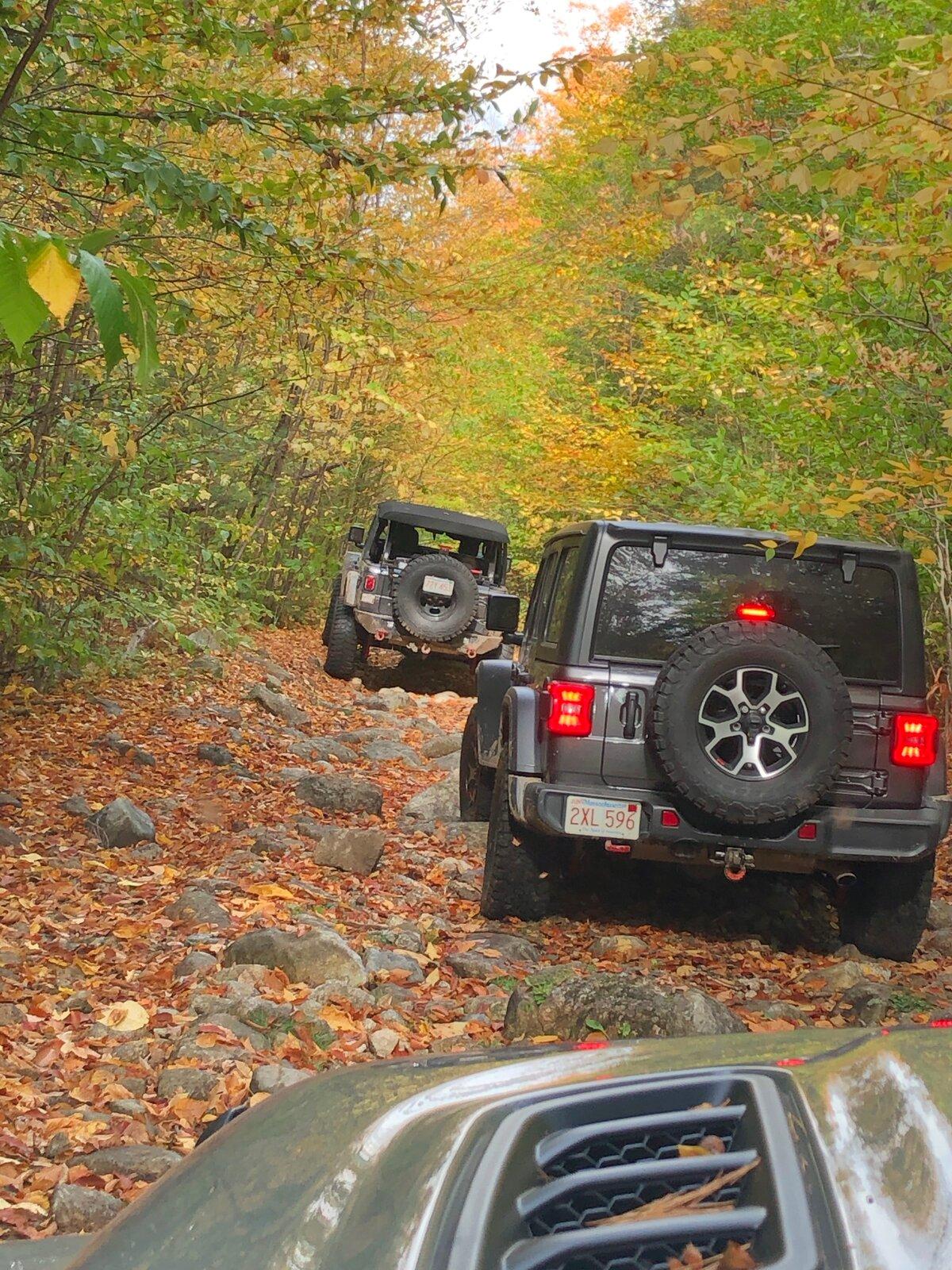 Jeep Gladiator Let's see those Fall Colors. IMG_3475