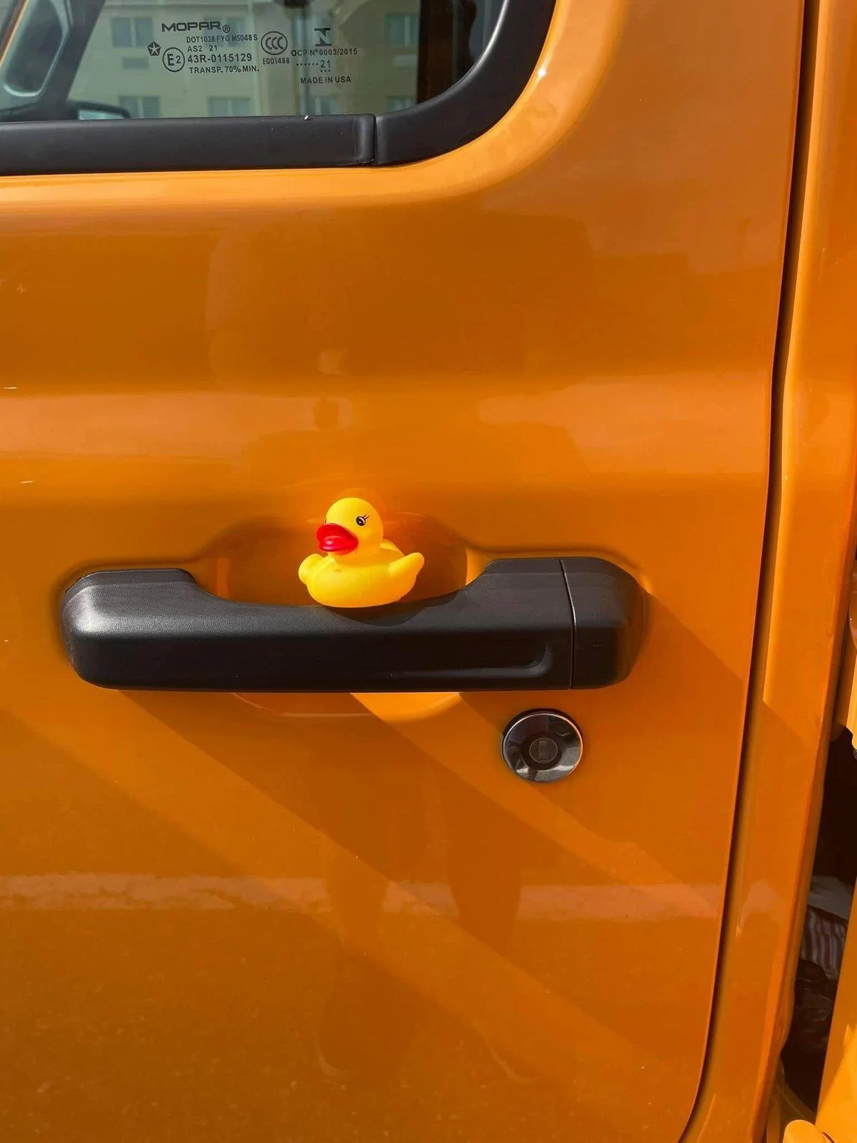 Jeep Gladiator Is there a support group for us who haven’t been DUCKED? 8863698D-5AFC-4712-99CC-0BF1C76A1E50