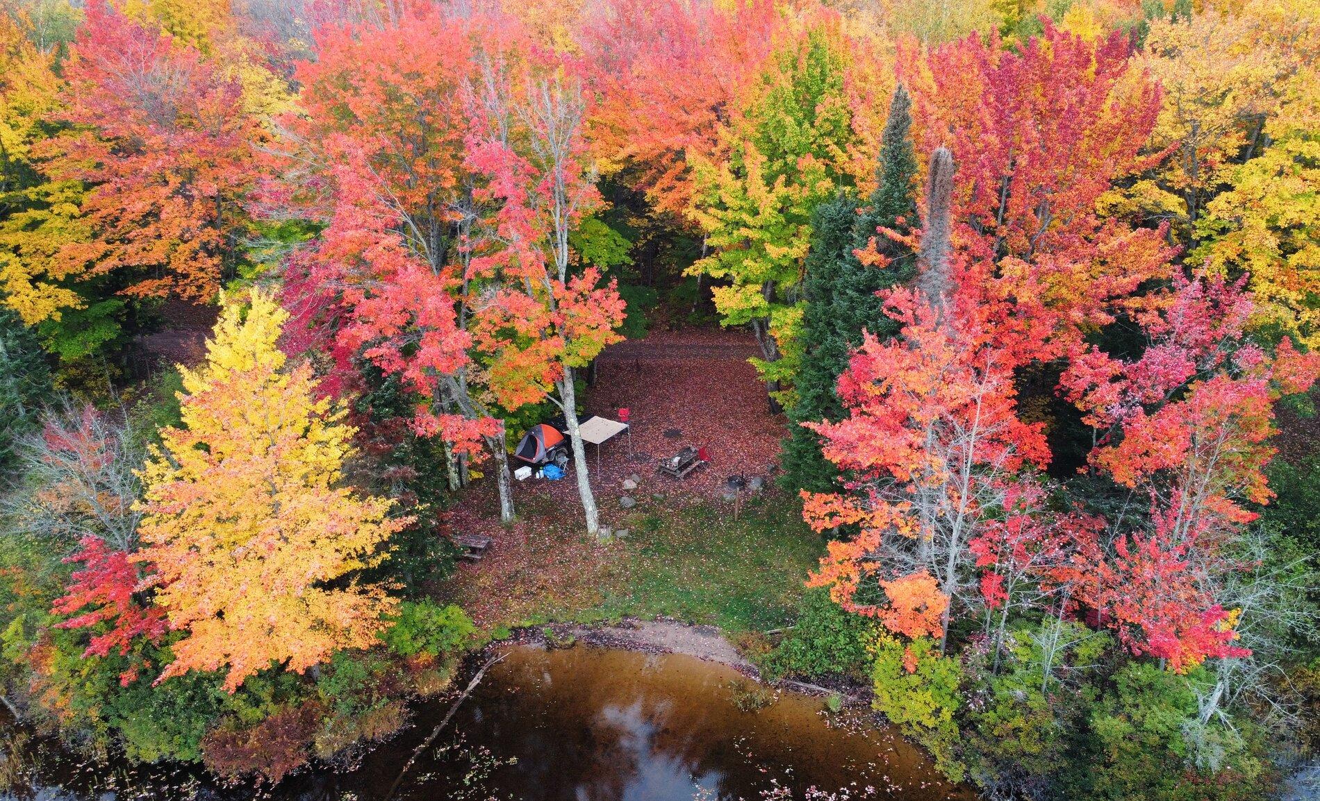 Jeep Gladiator Let's see those Fall Colors. Photo_6553609_DJI_9_jpg_4335093_0_202110284046_photo_original~2