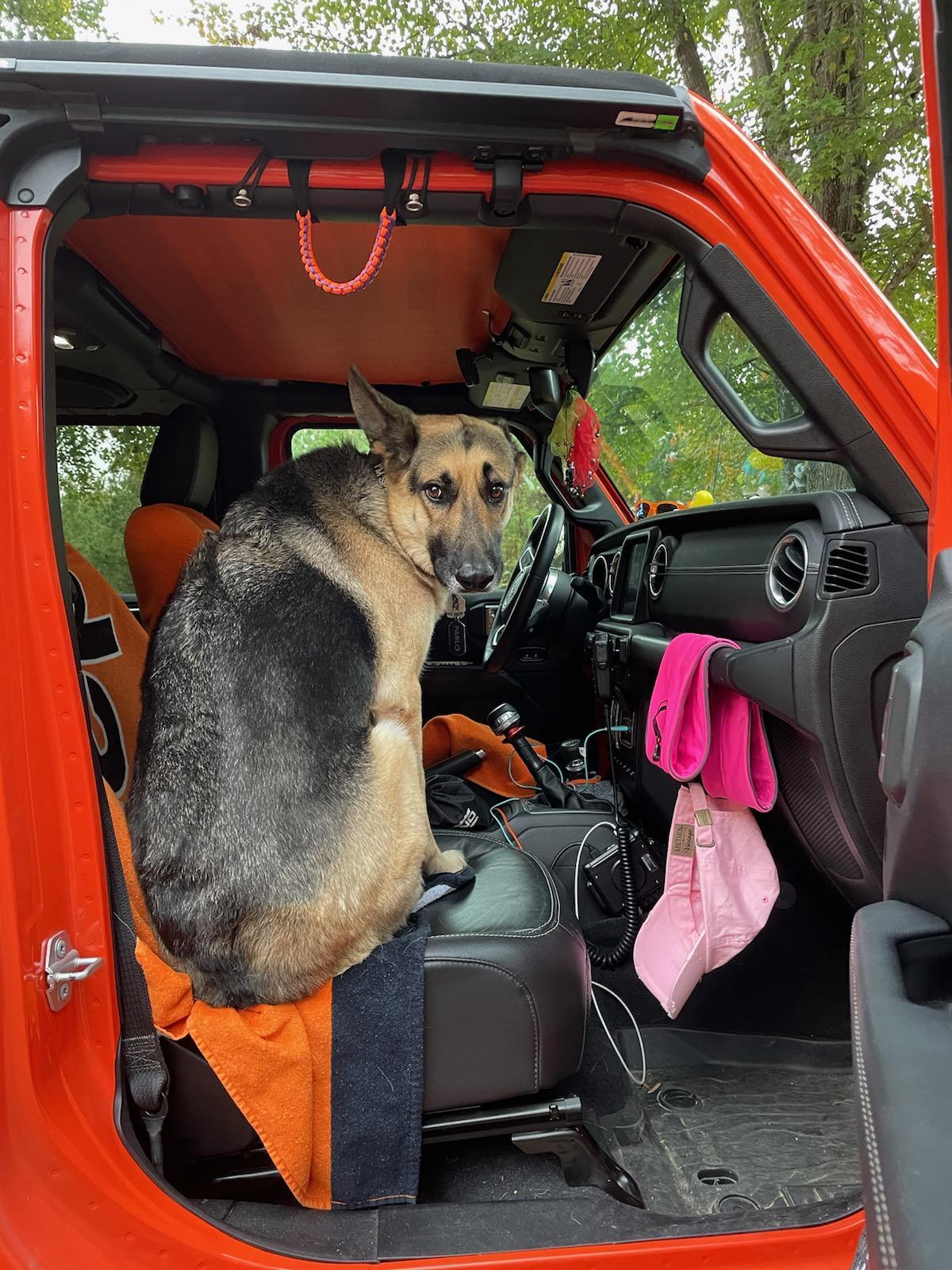 Jeep Gladiator Let’s see your pets cause they are the best companion you can have!!!!! IMG_6858