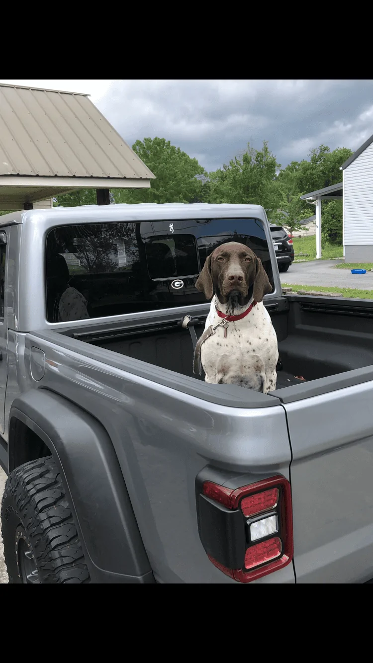 Jeep Gladiator Let’s see your pets cause they are the best companion you can have!!!!! 704261AB-BB78-40F7-A996-DA440DEF1DCD