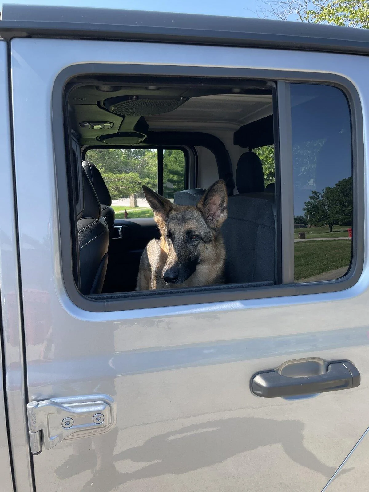 Jeep Gladiator Let’s see your pets cause they are the best companion you can have!!!!! 5F2C9ABD-35AC-4B0F-97CD-F279CB46074A