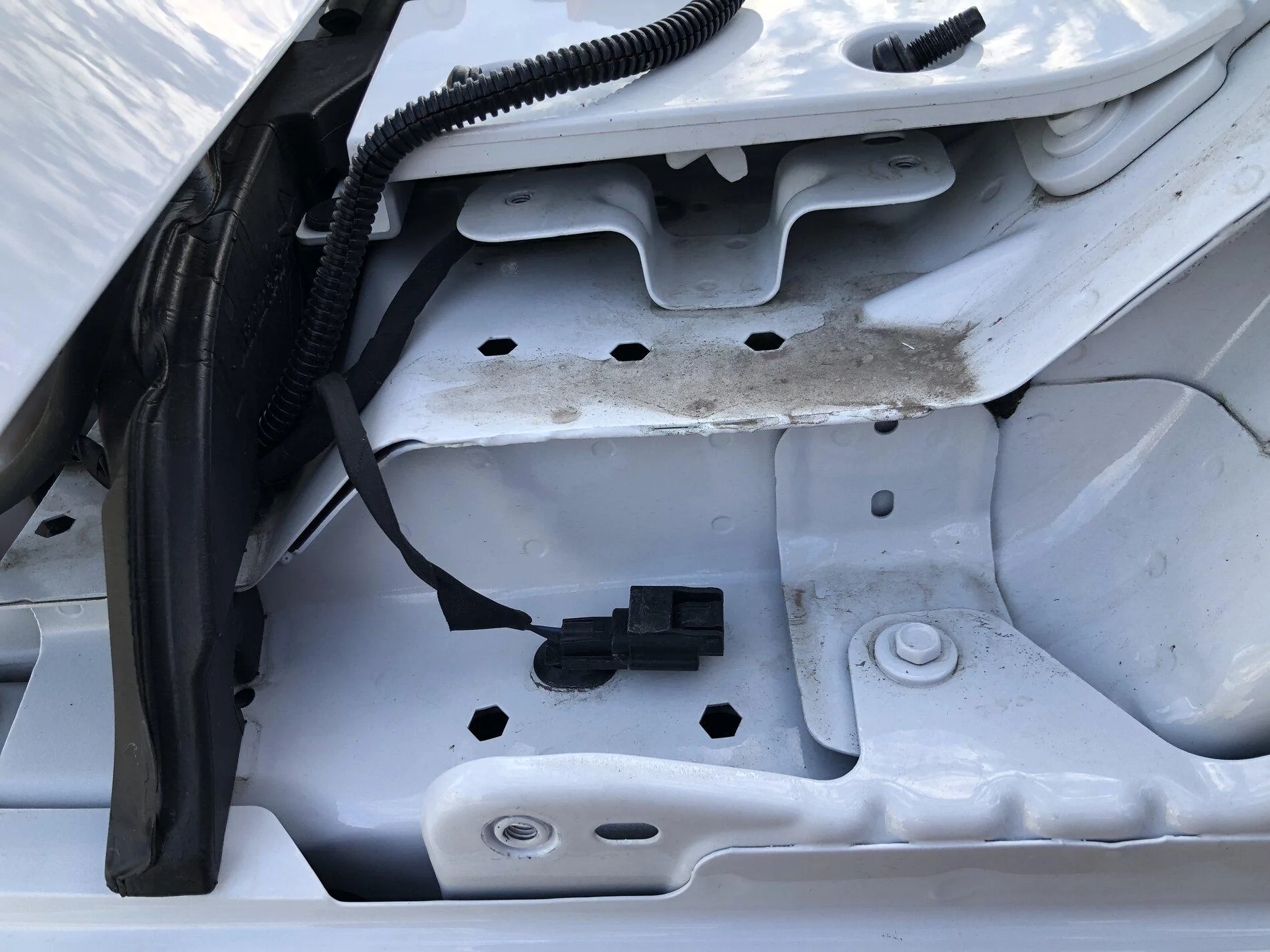 Jeep Gladiator What’s this thing? Under driver side cowel. 50573A91-583E-4ADA-91CA-A5A75EE81AEC
