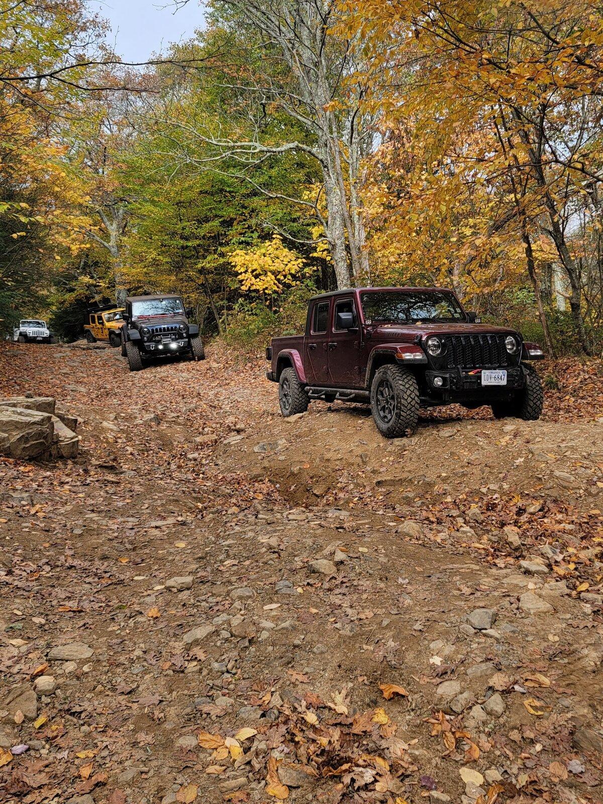 Jeep Gladiator Let's see those Fall Colors. flag1