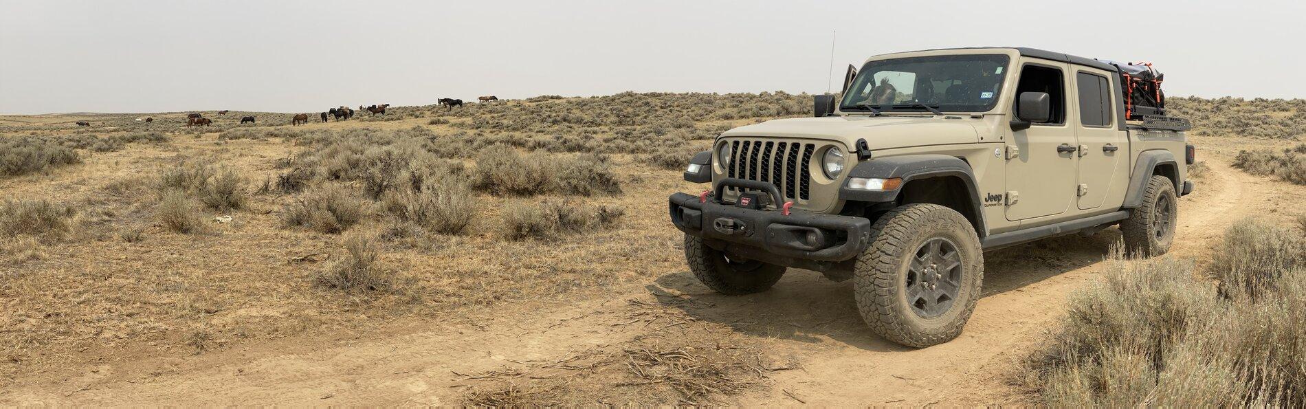 Jeep Gladiator My JT is a freakin’ Transformer! E717CB26-BAA6-45A6-945D-C39F9064D74C