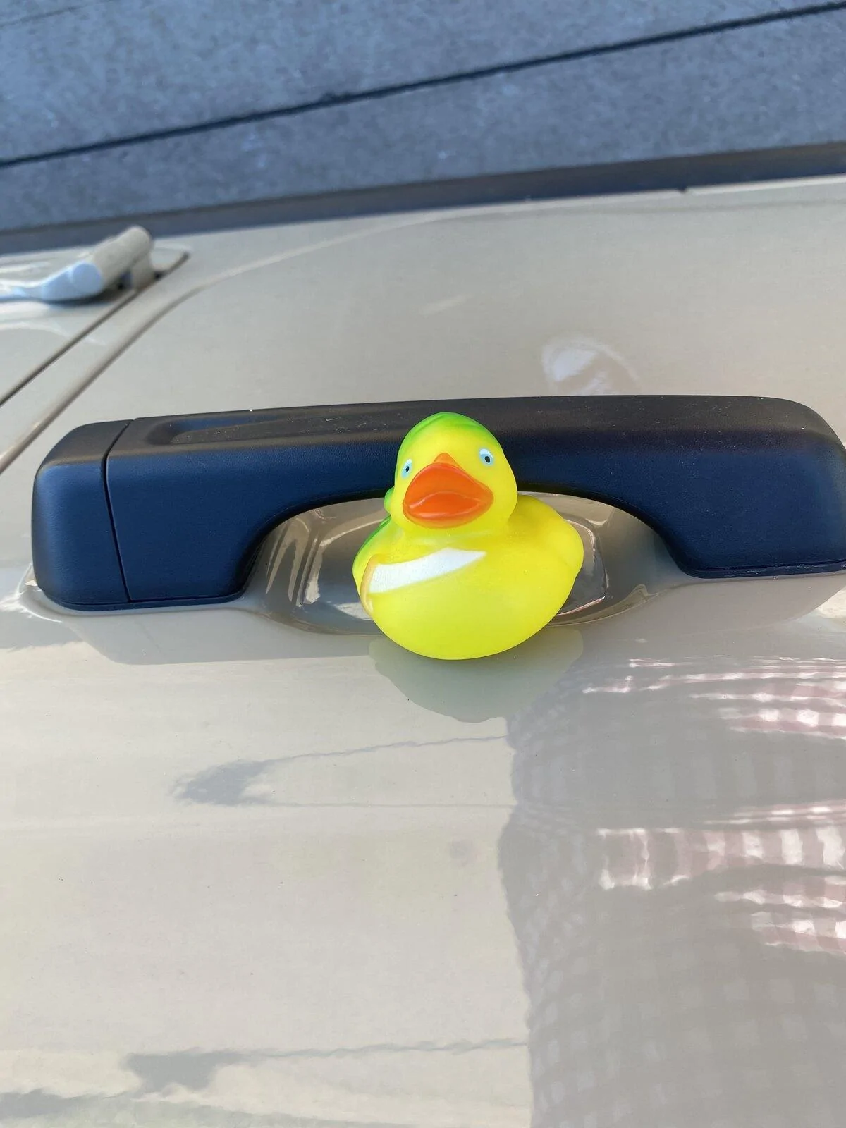 Jeep Gladiator Get a duck yet? 96B03991-571A-4DEA-82C6-3AC7ED723438
