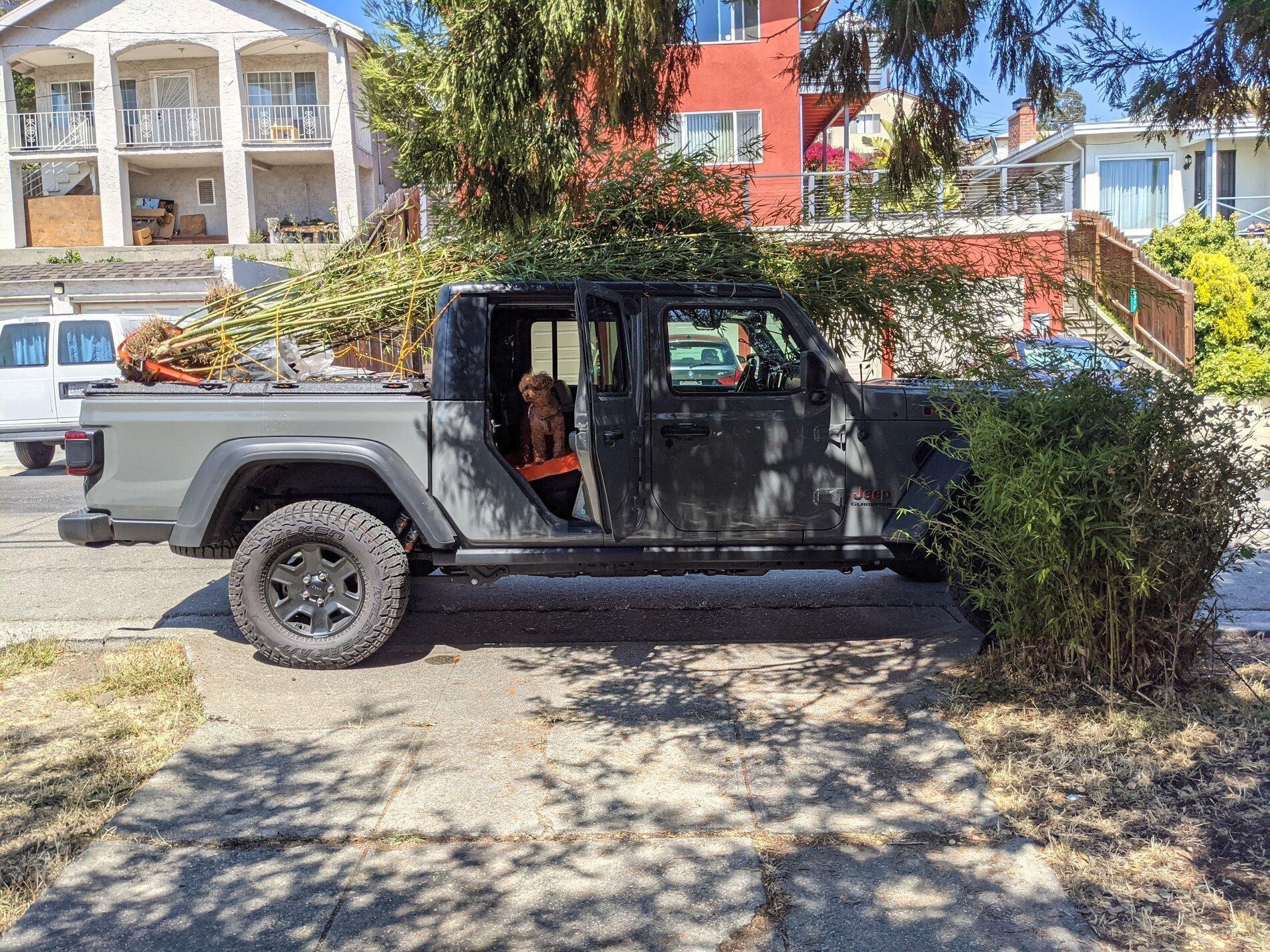 Jeep Gladiator What did you HAUL in your JT today? PXL_20210716_220342716
