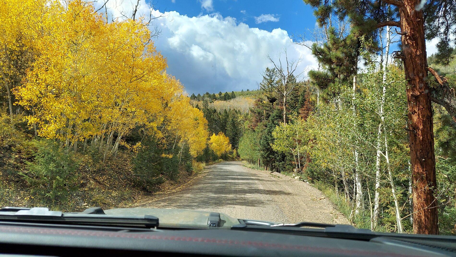 Jeep Gladiator Let's see those Fall Colors. 20211002_135352