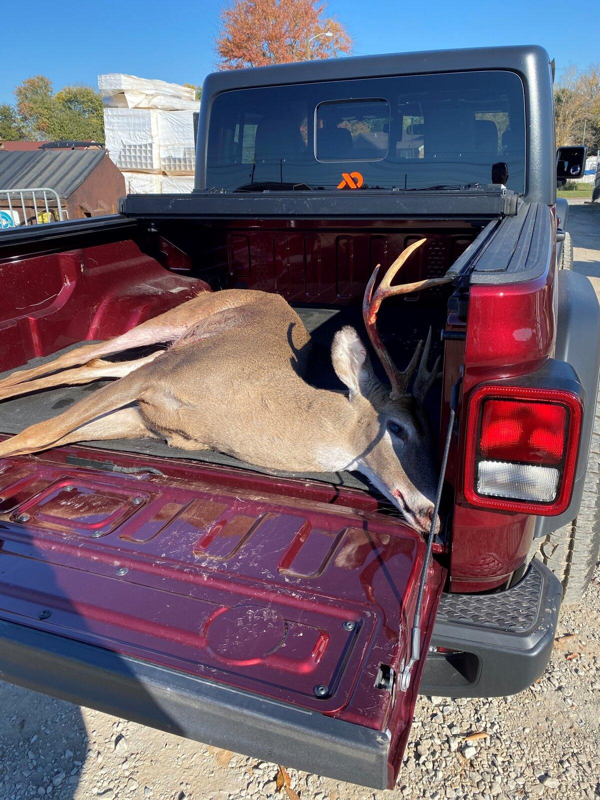 Jeep Gladiator What did you HAUL in your JT today? Deer