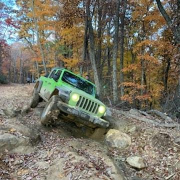 IMG_20211111_010627_573.jpg