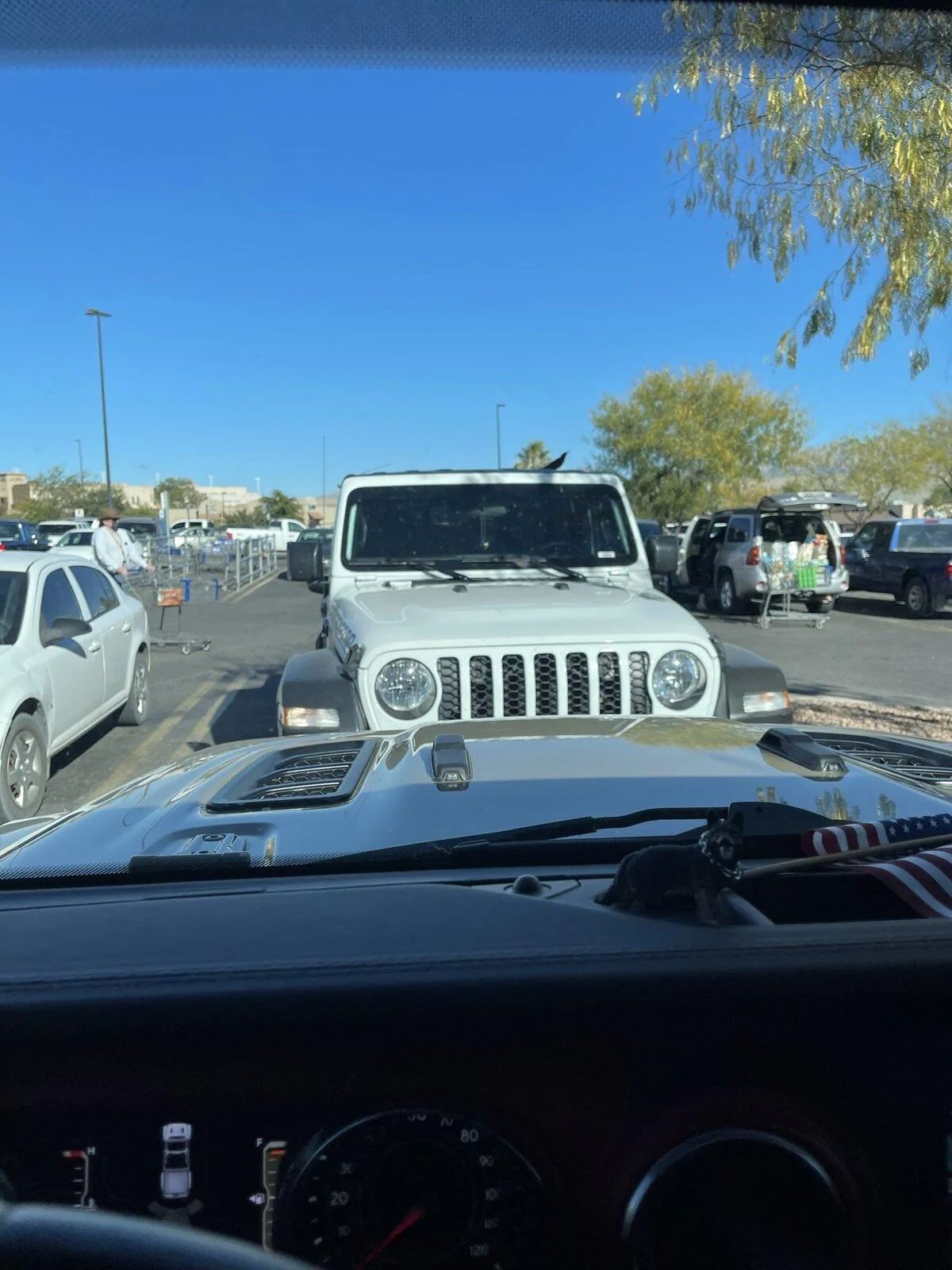 Jeep Gladiator Jeeps Parking Next To Jeeps BBC41FC0-AA32-4C0D-96C7-1F08EF1E177E