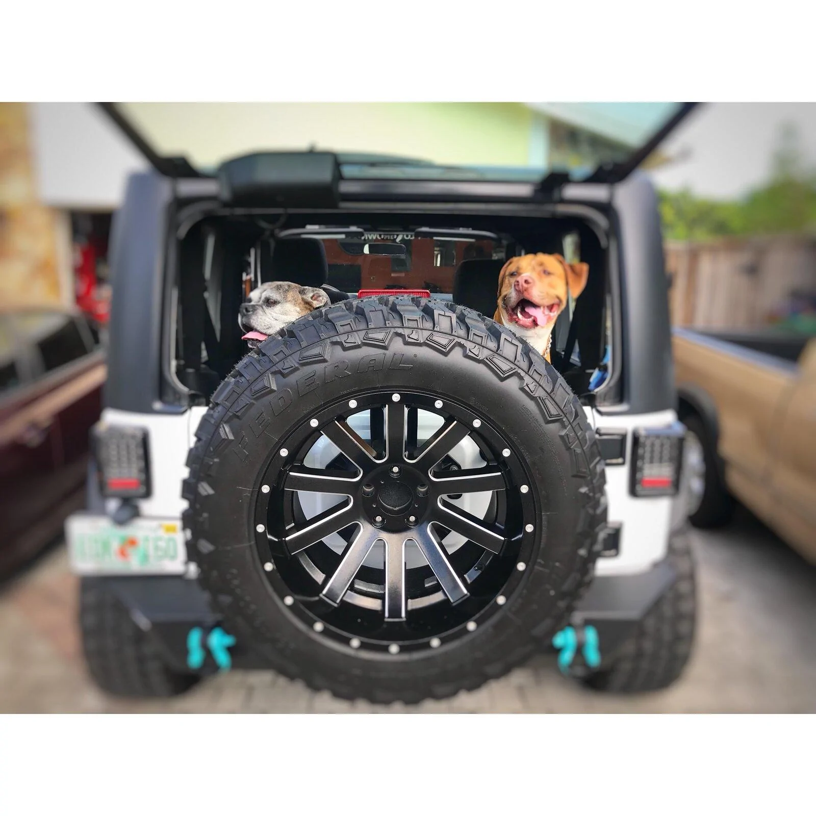 Jeep Gladiator Let’s see your pets cause they are the best companion you can have!!!!! D45BA734-73AB-4C9A-BFE5-3E1A3C130EF6