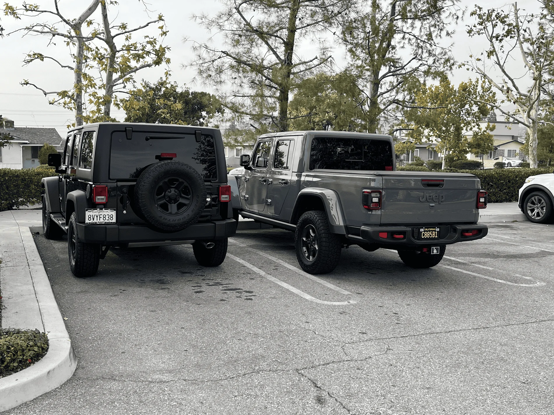 Jeep Gladiator Jeeps Parking Next To Jeeps tempImageBmoZGT