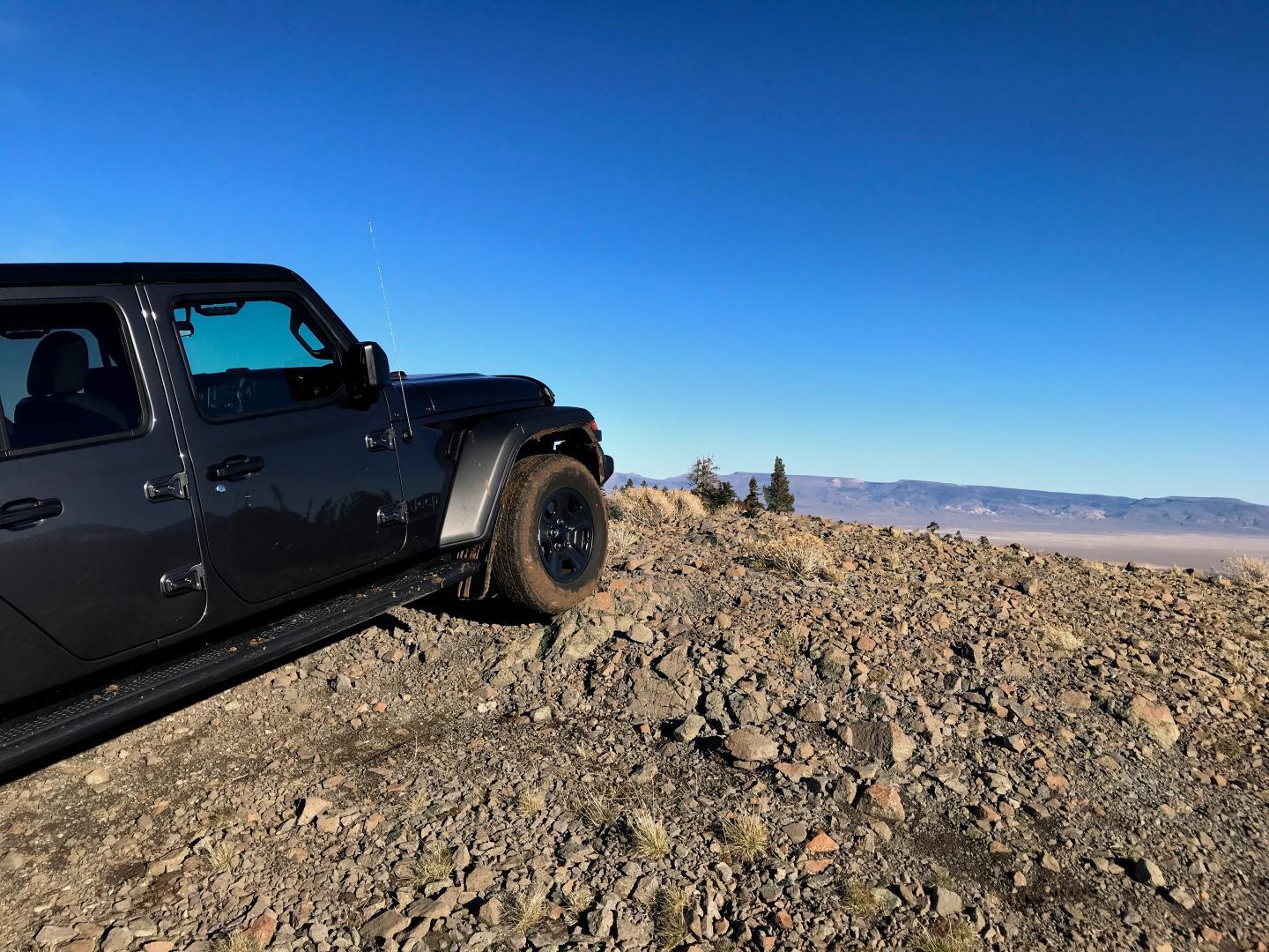 Jeep Gladiator What did you do WITH your Gladiator today? IMG_1515_01.JPG