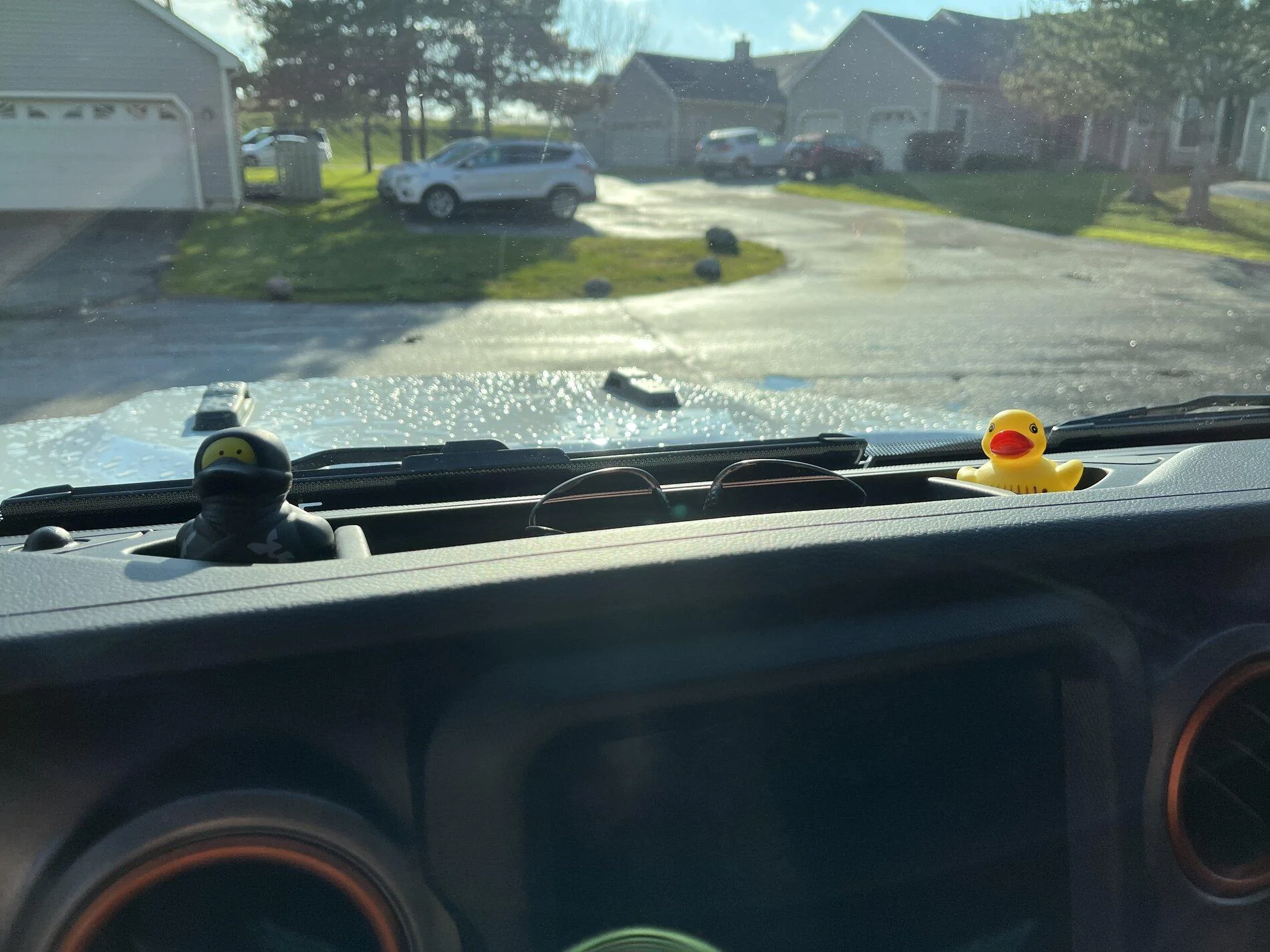 Jeep Gladiator Get a duck yet? 79F3031C-BD9A-4161-BF4F-BE077EFA030A