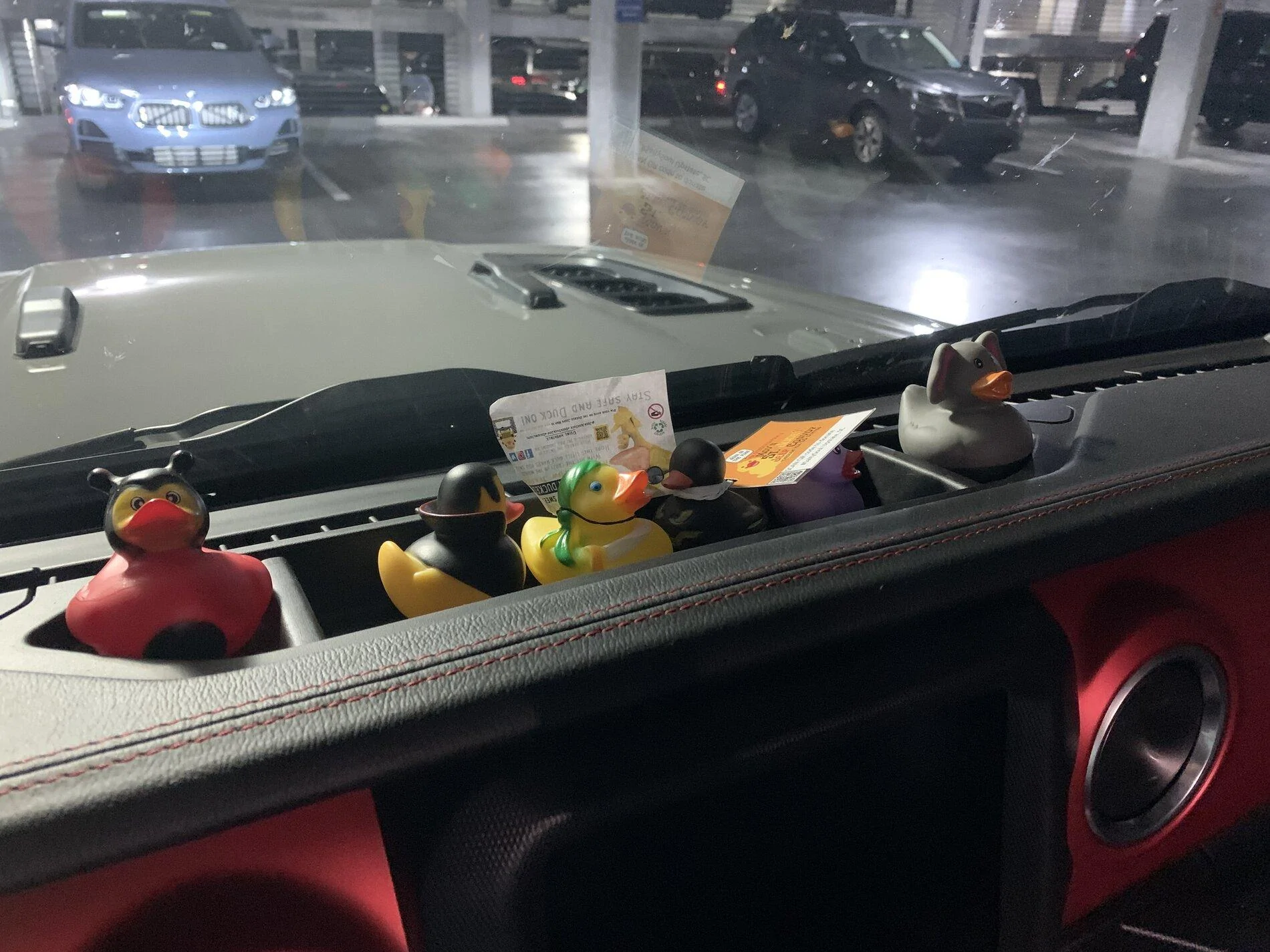 Jeep Gladiator Get a duck yet? 4575531A-D94D-4D6B-B481-25D83546AF84