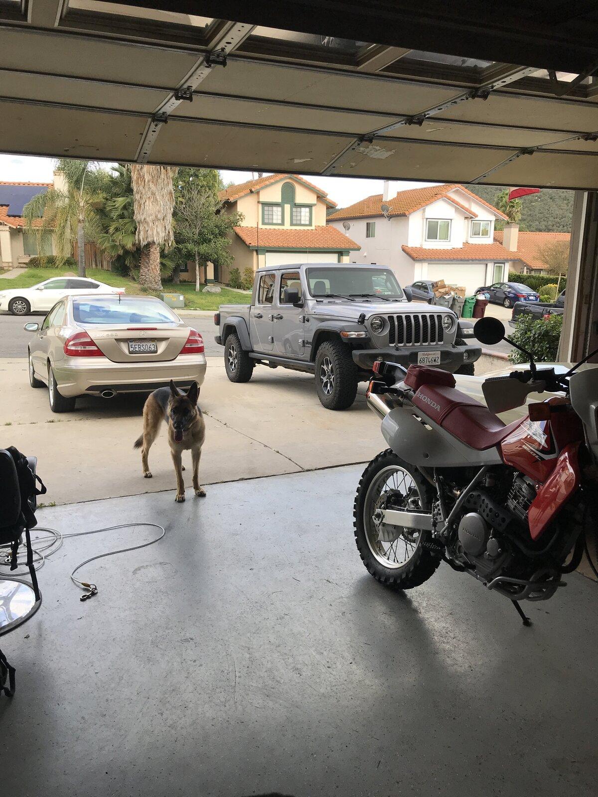 Jeep Gladiator Your “Other Vehicles” and passions 70B8EE57-4FD7-4974-9FC1-723C9F91607D