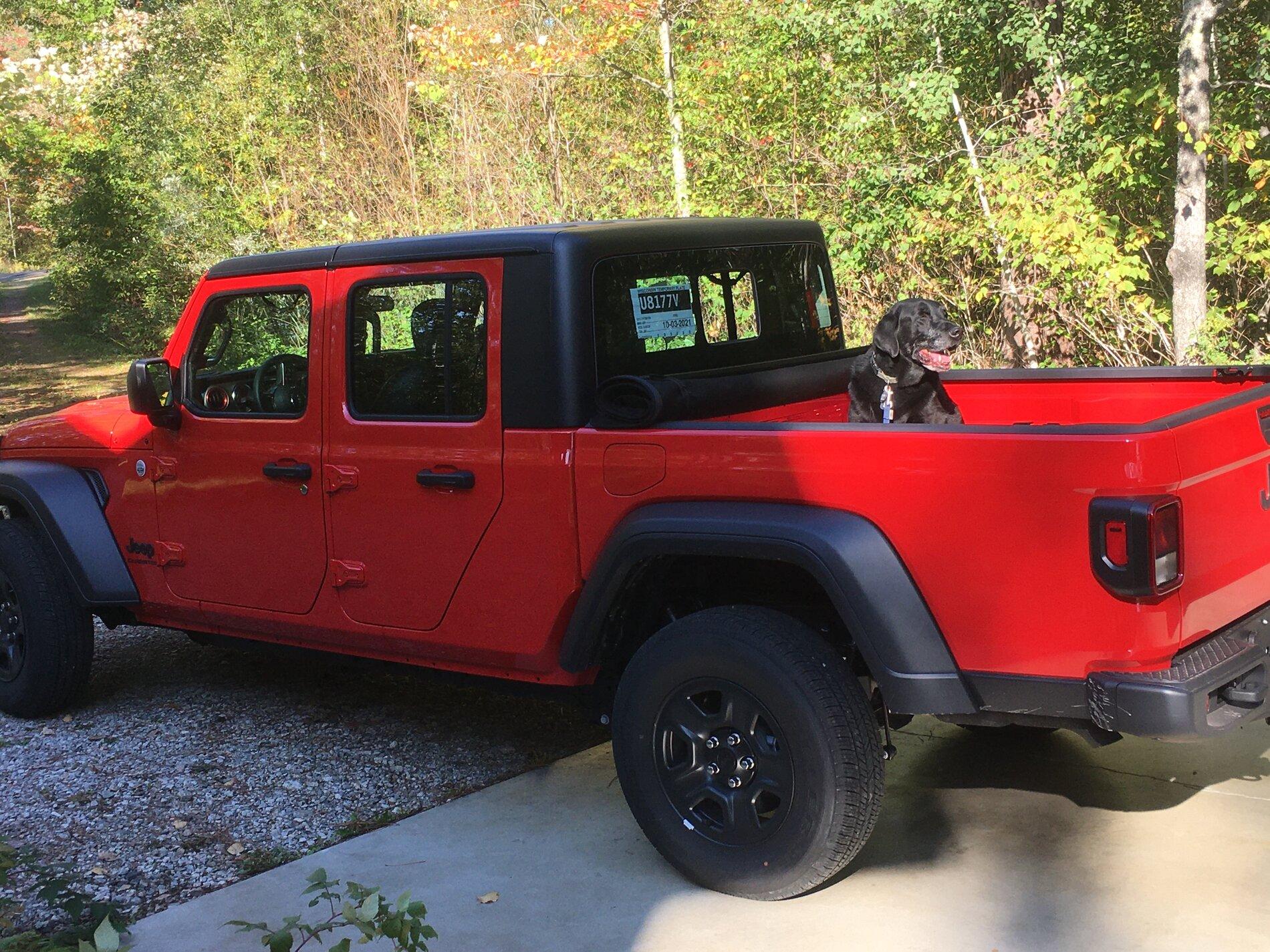 Jeep Gladiator Has anyone with manual trans regeared? IMG_4290.JPG