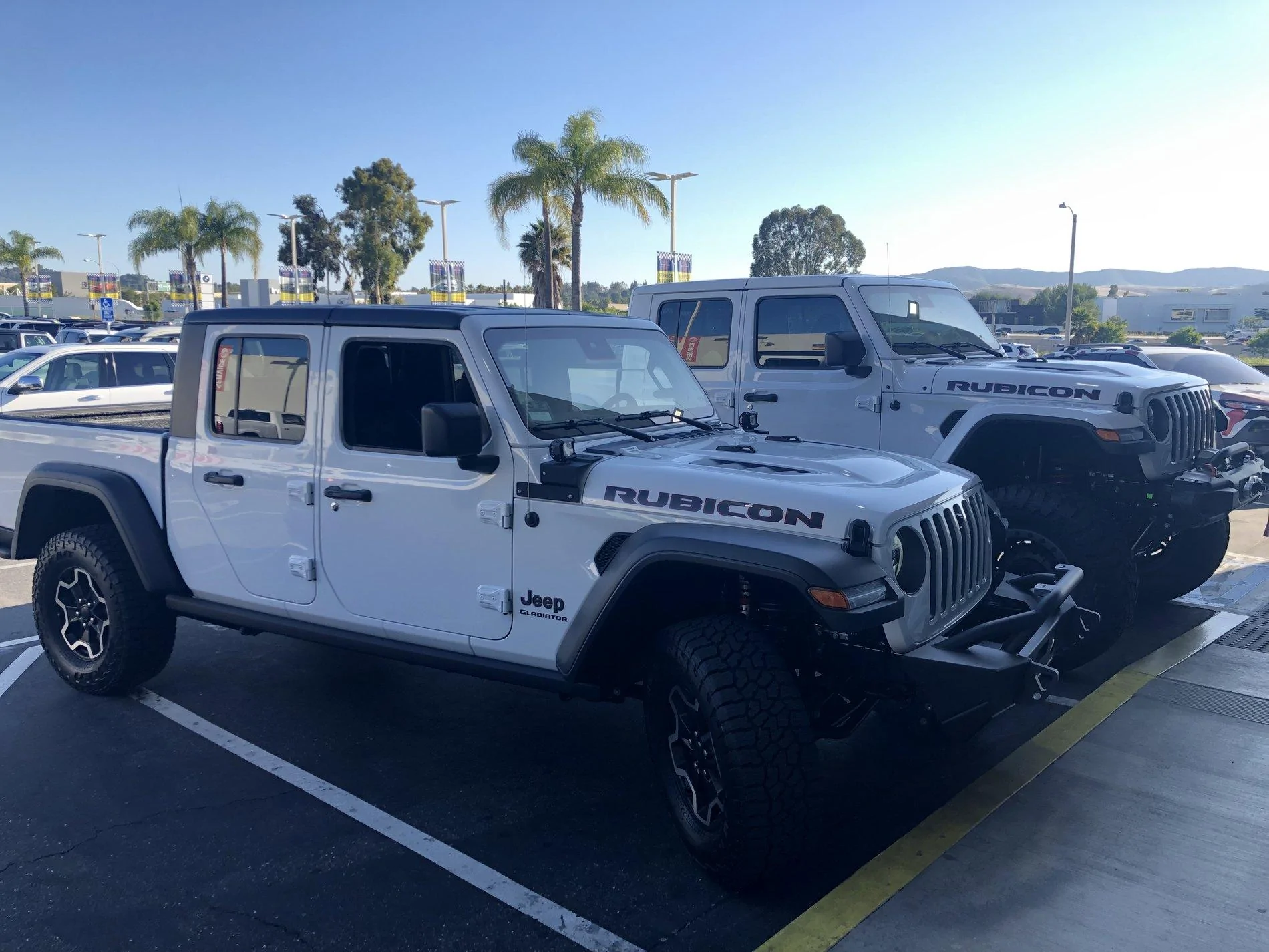 Jeep Gladiator Jeeps Parking Next To Jeeps CA44109B-1AF9-48C7-AD2B-A3EF1534A708
