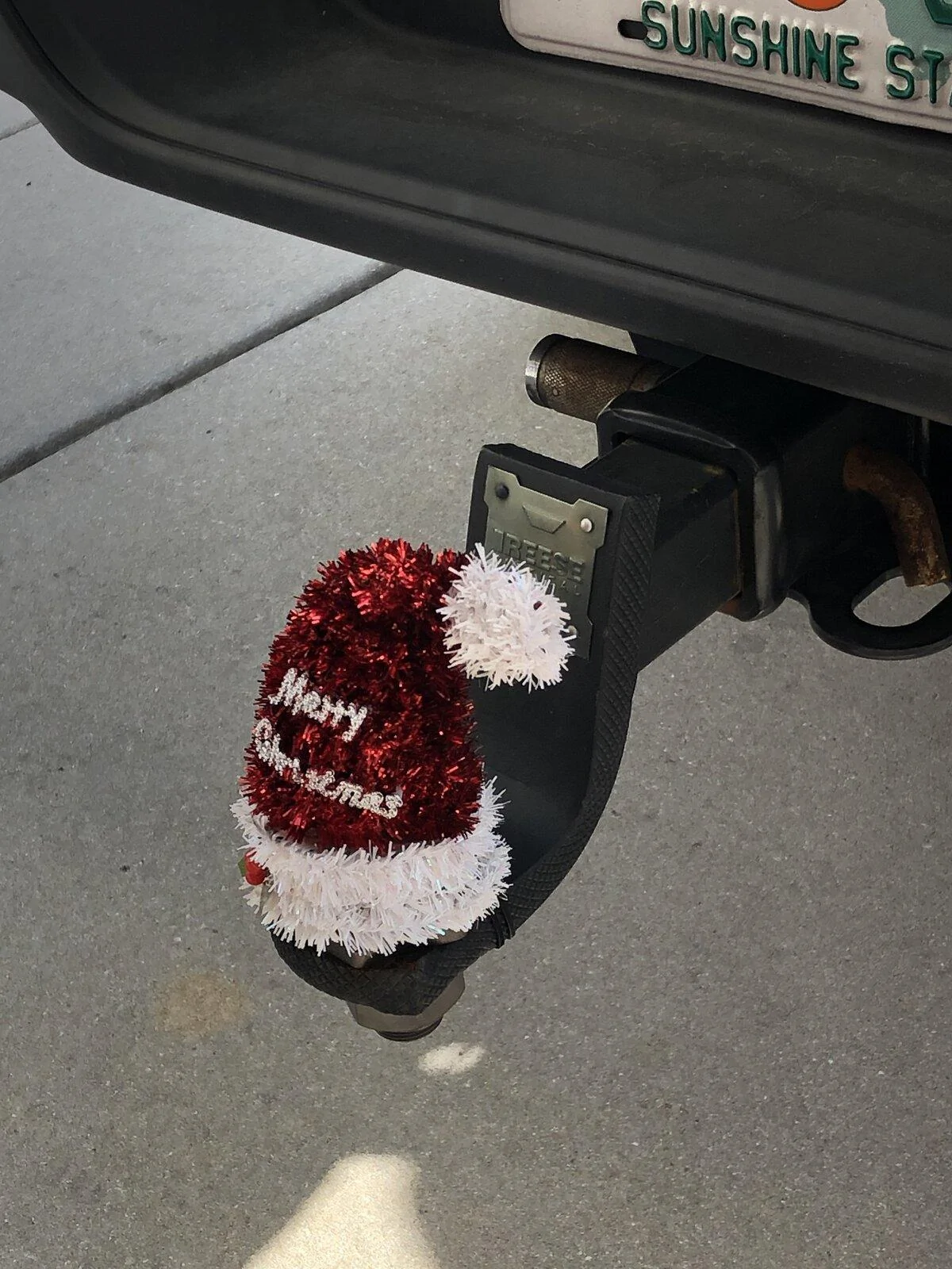 Jeep Gladiator Show us your Grill Wreaths 7A9FB950-C04B-4E40-BB71-EE398CD82A24