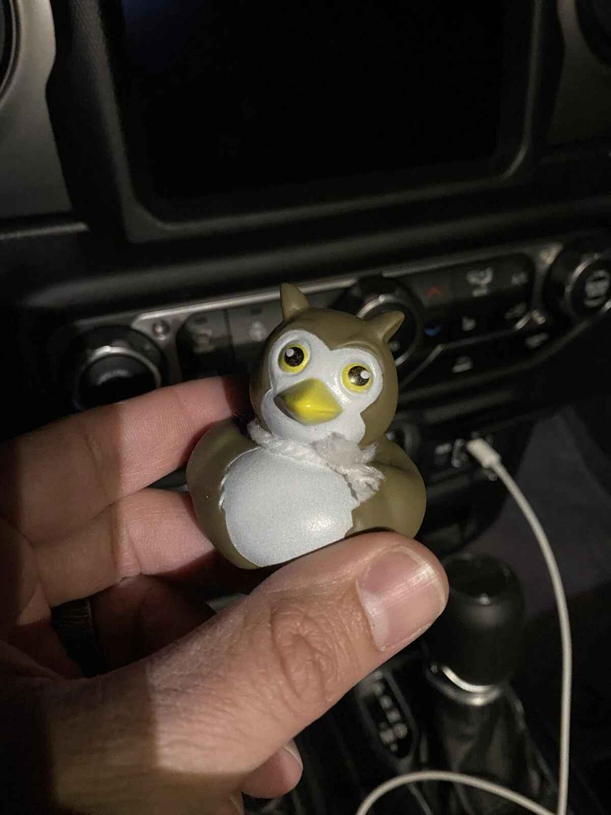 Jeep Gladiator Get a duck yet? 47244080-8602-4578-9AAE-6E8F8220C98B