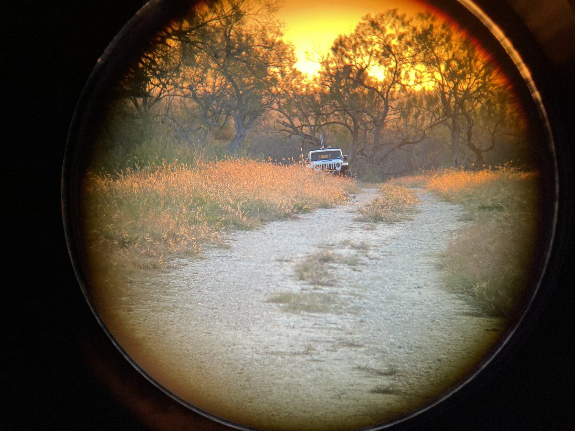 Jeep Gladiator Let's see those Mojave's and Mods 5CD539B1-7DCE-4FEB-854D-789FEC82A6B2