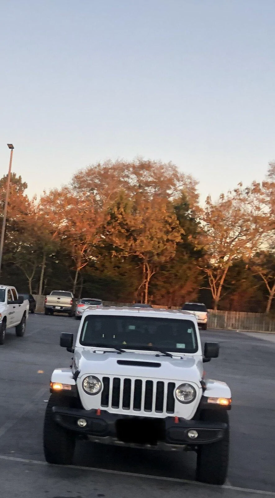Jeep Gladiator What did you do WITH your Gladiator today? 8E2C26B6-8362-43C5-AF63-386376BB6E3E