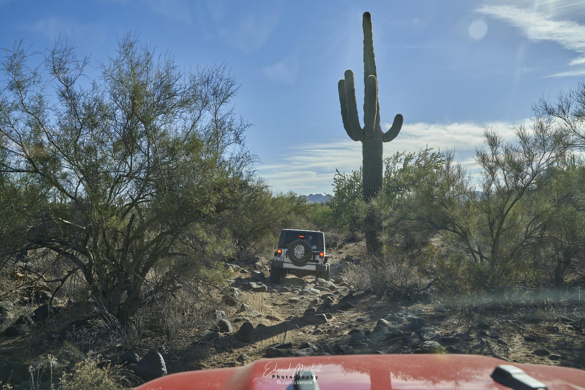 Jeep Gladiator Quick trail run in my hood DSC03237