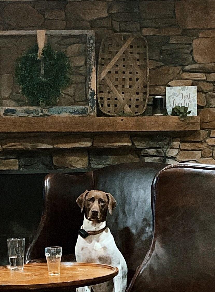 RickiFireplace.jpg