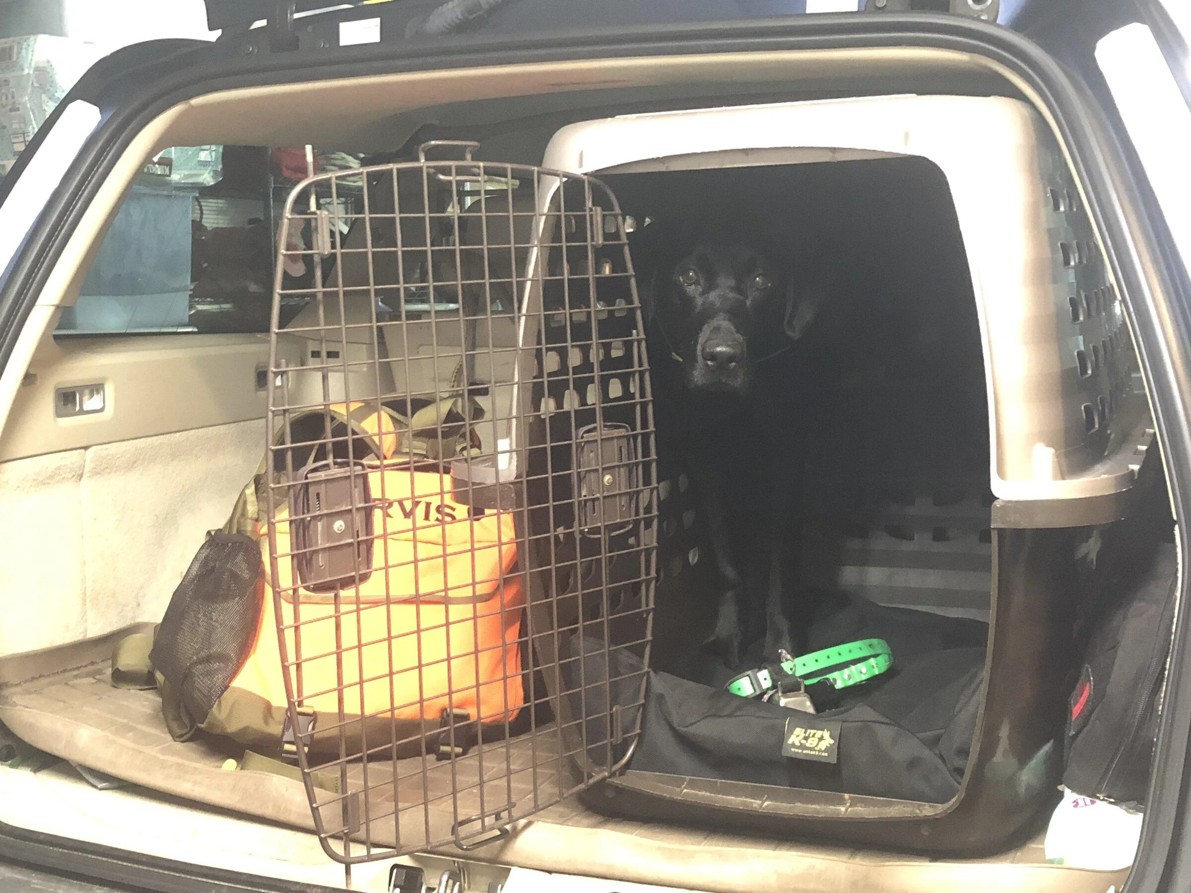 Jeep Gladiator Dog co-pilot help. 20211113_154632024_iOS