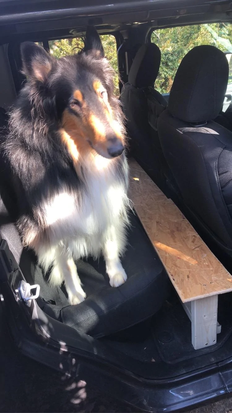 Jeep Gladiator Dog co-pilot help. 2423AEB4-D2A3-4F0A-BAA6-0CAF9774437B